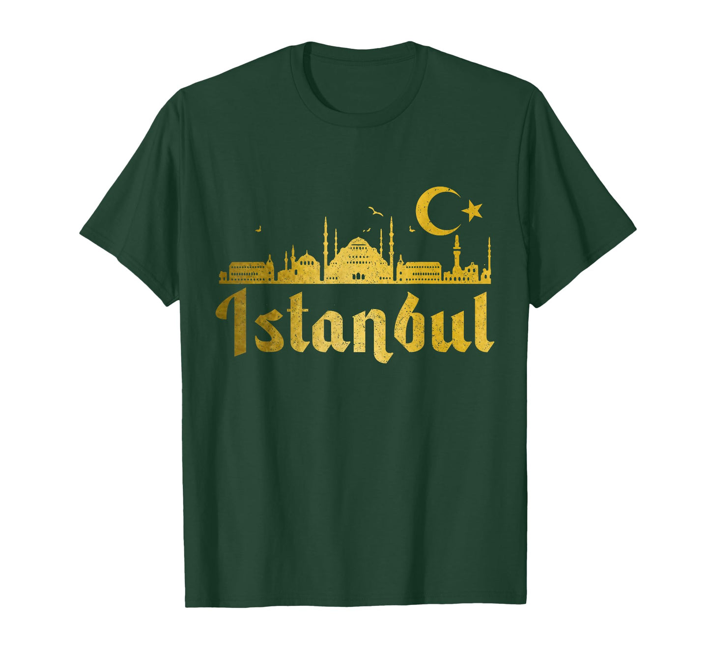 Istanbul Skyline Turkey Turkish Pride Souvenir Turkiye T-Shirt