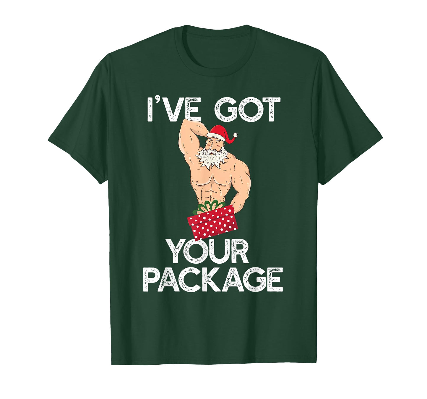I'VE GOT YOUR PACKAGE Funny Sexy Santa Claus Funny Meme T-Shirt