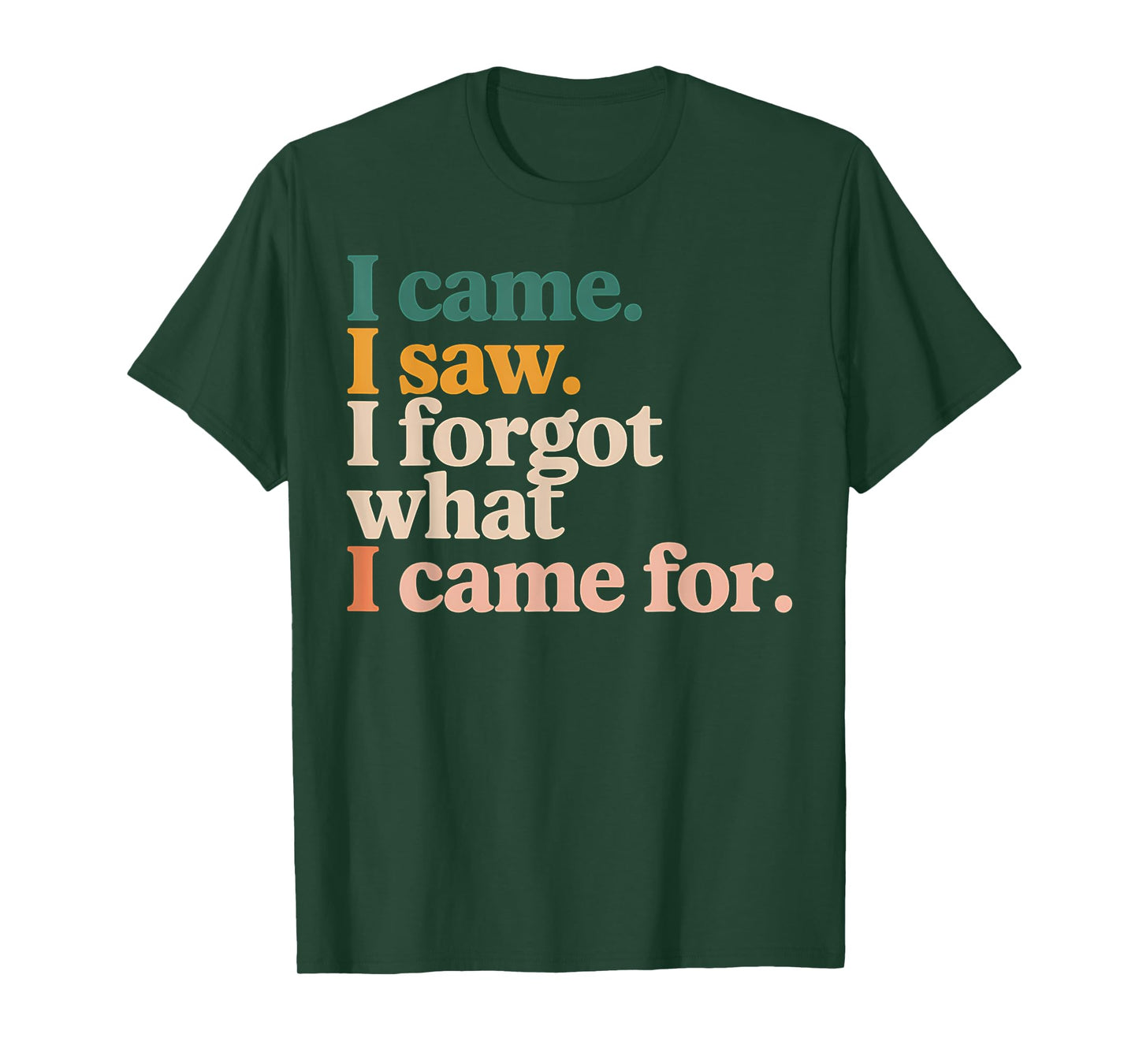 Funny Graphic Tee I Came I Saw I Forgot What I Came For T-Shirt