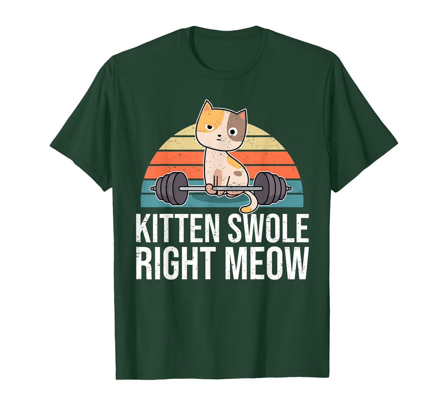 Funny Workout & Fitness Pun I Kitten Swole Right Meow T-Shirt