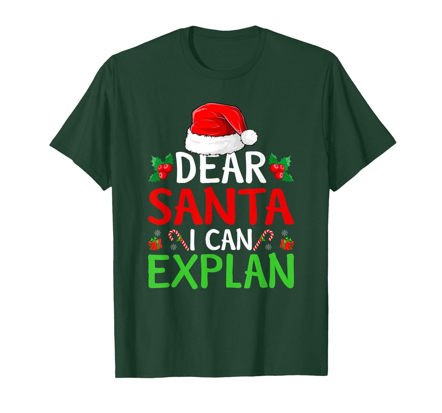 Dear Santa I Can Explain Family Christmas Pajamas T-Shirt