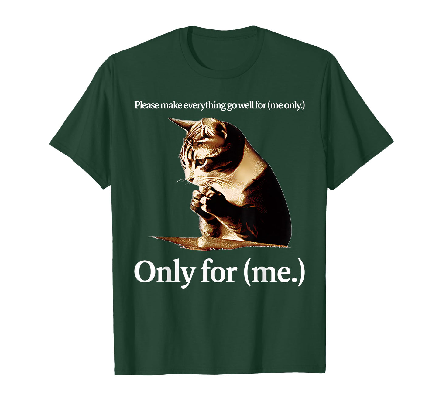 Cat Jesus Please Make Everything Go Well For Only For (Me) T-Shirt