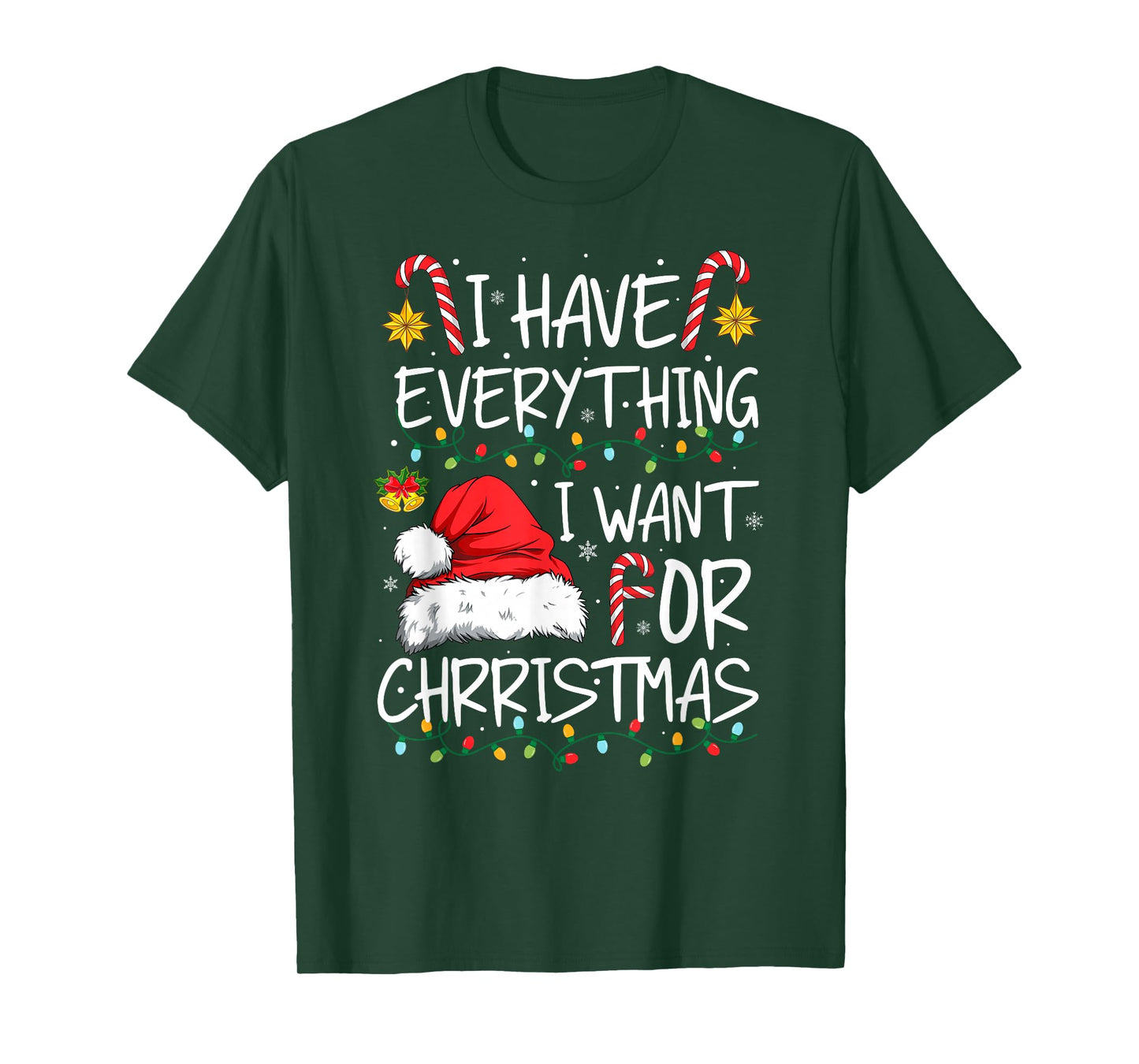 I Have Everything I Want for Christmas Funny Xmas Pajamas T-Shirt