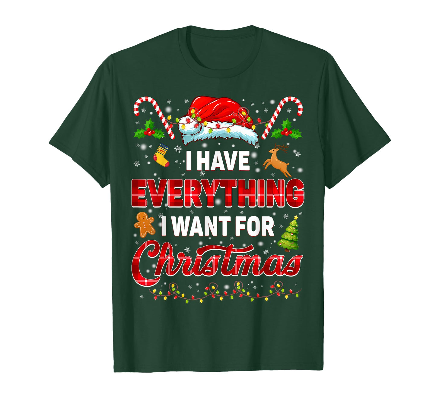 I Have Everything I Want Xmas Couple Matching Tee Men Women T-Shirt