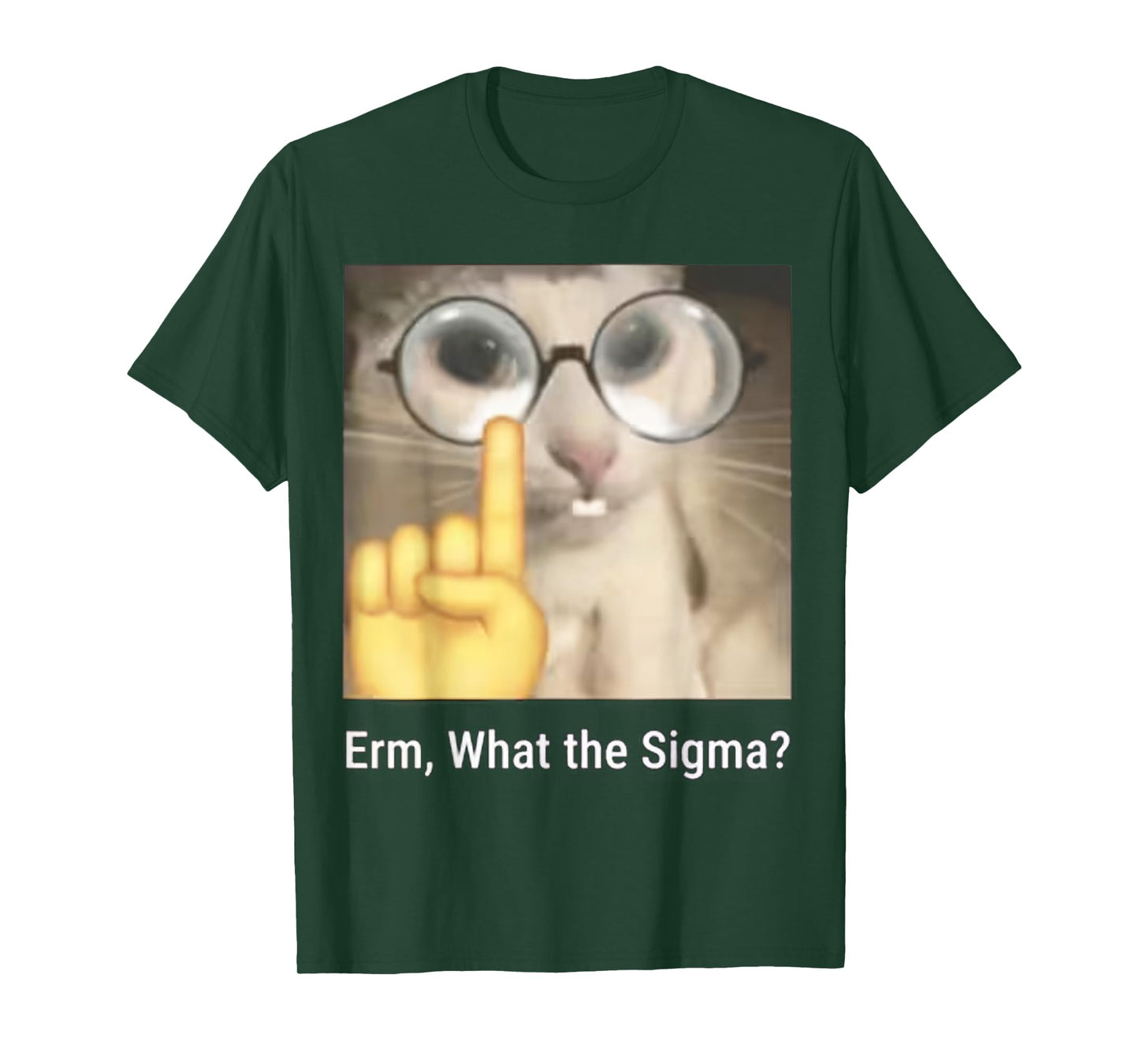 Erm, What the Sigma? Cat Meme Funny T-Shirt
