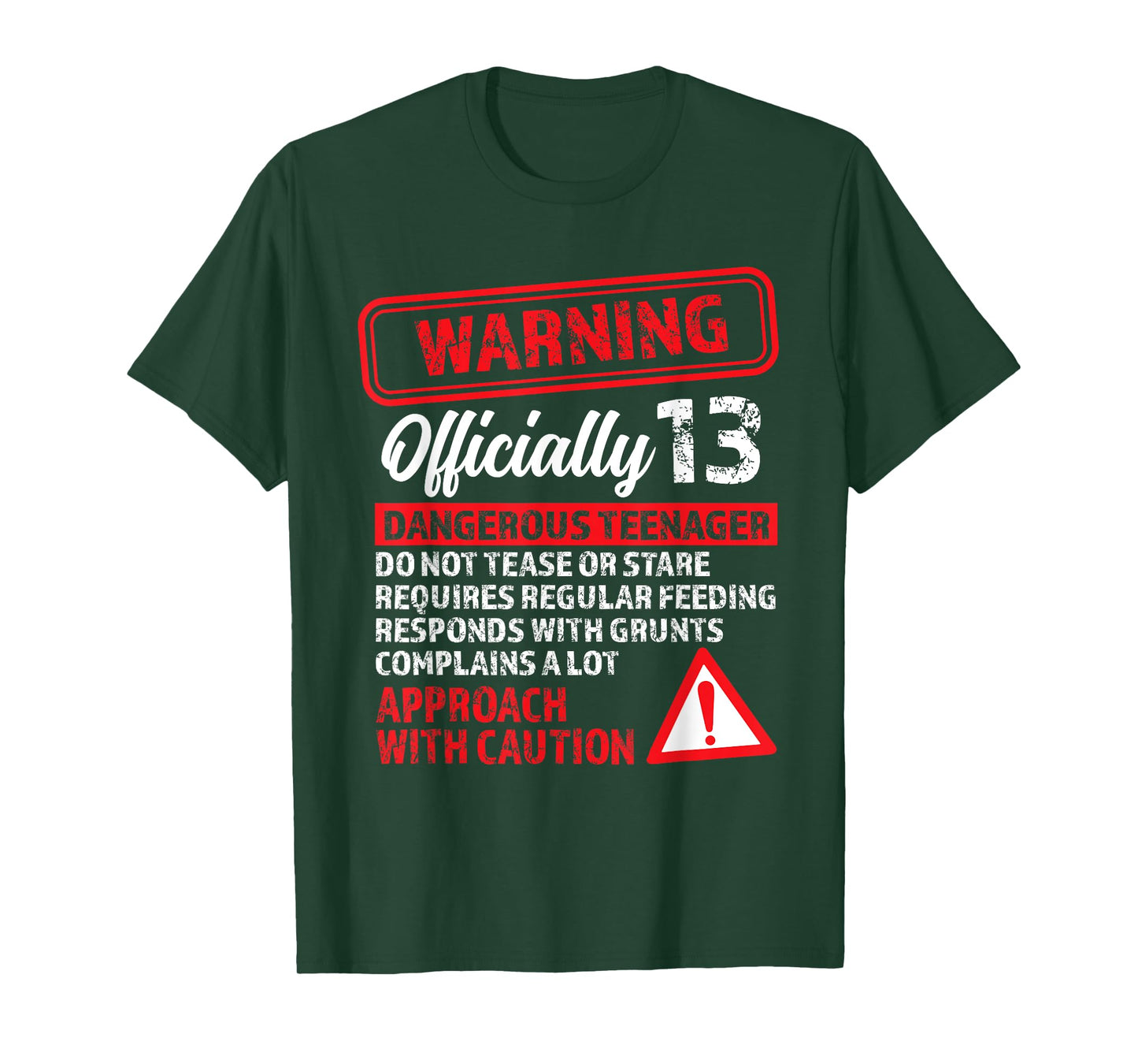13th Birthday Gifts Warning Dangerous Teenager 13 Yr Old T-Shirt
