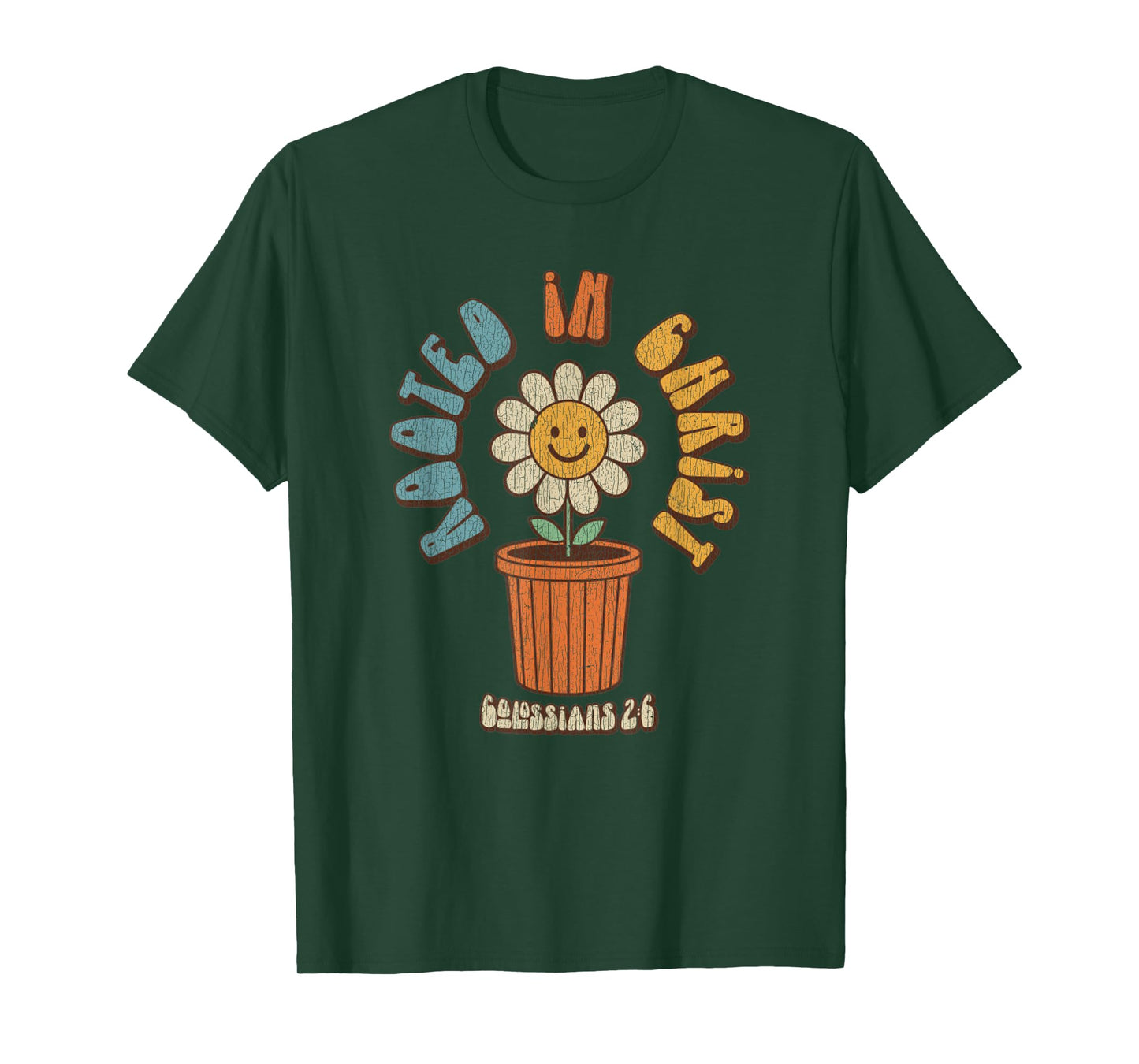 Vintage Retro Christian Rooted In Christ Col 2:6 Bible Verse T-Shirt