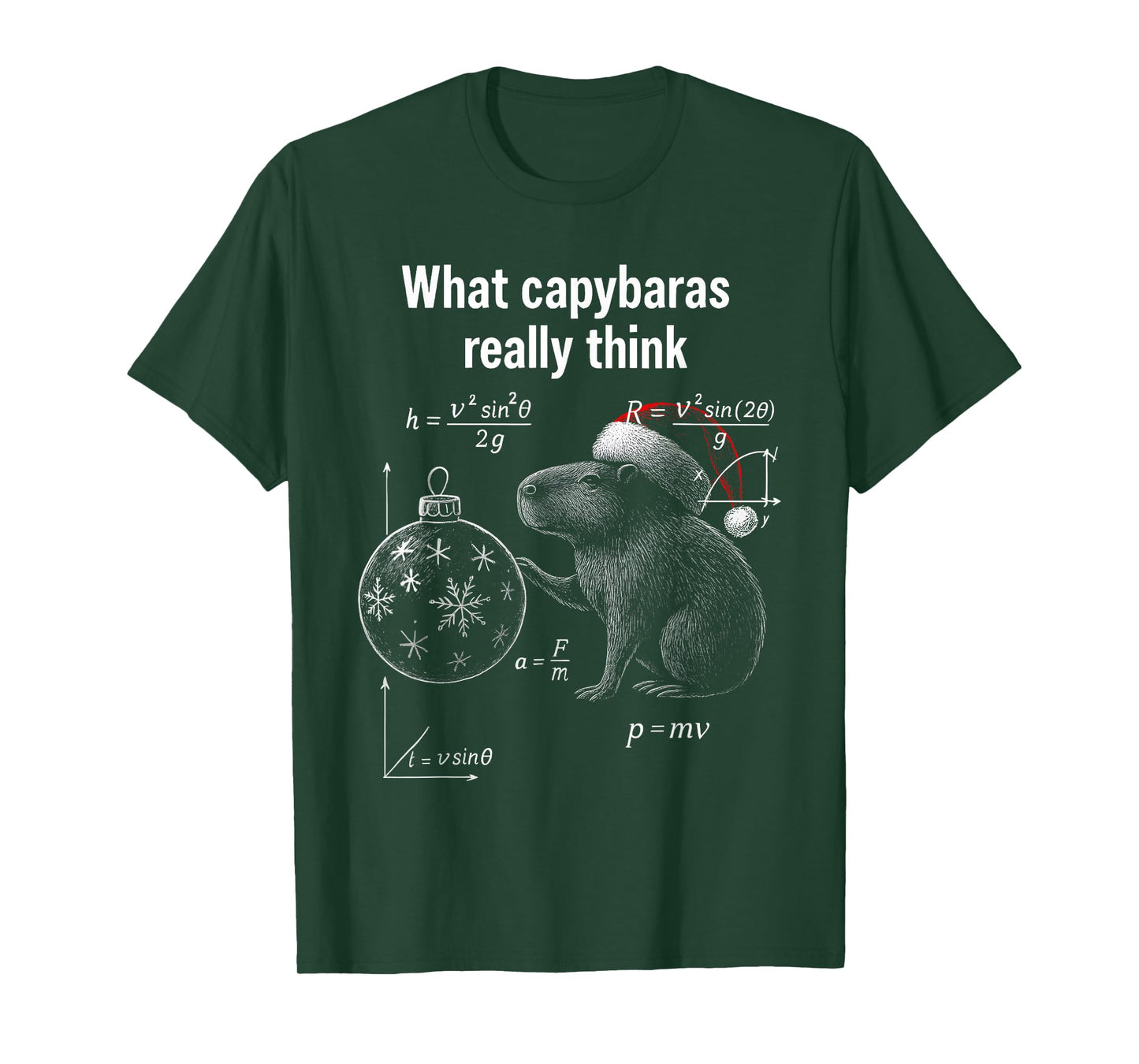 Funny Capybara Physics Science Humor Santa Hat Christmas T-Shirt