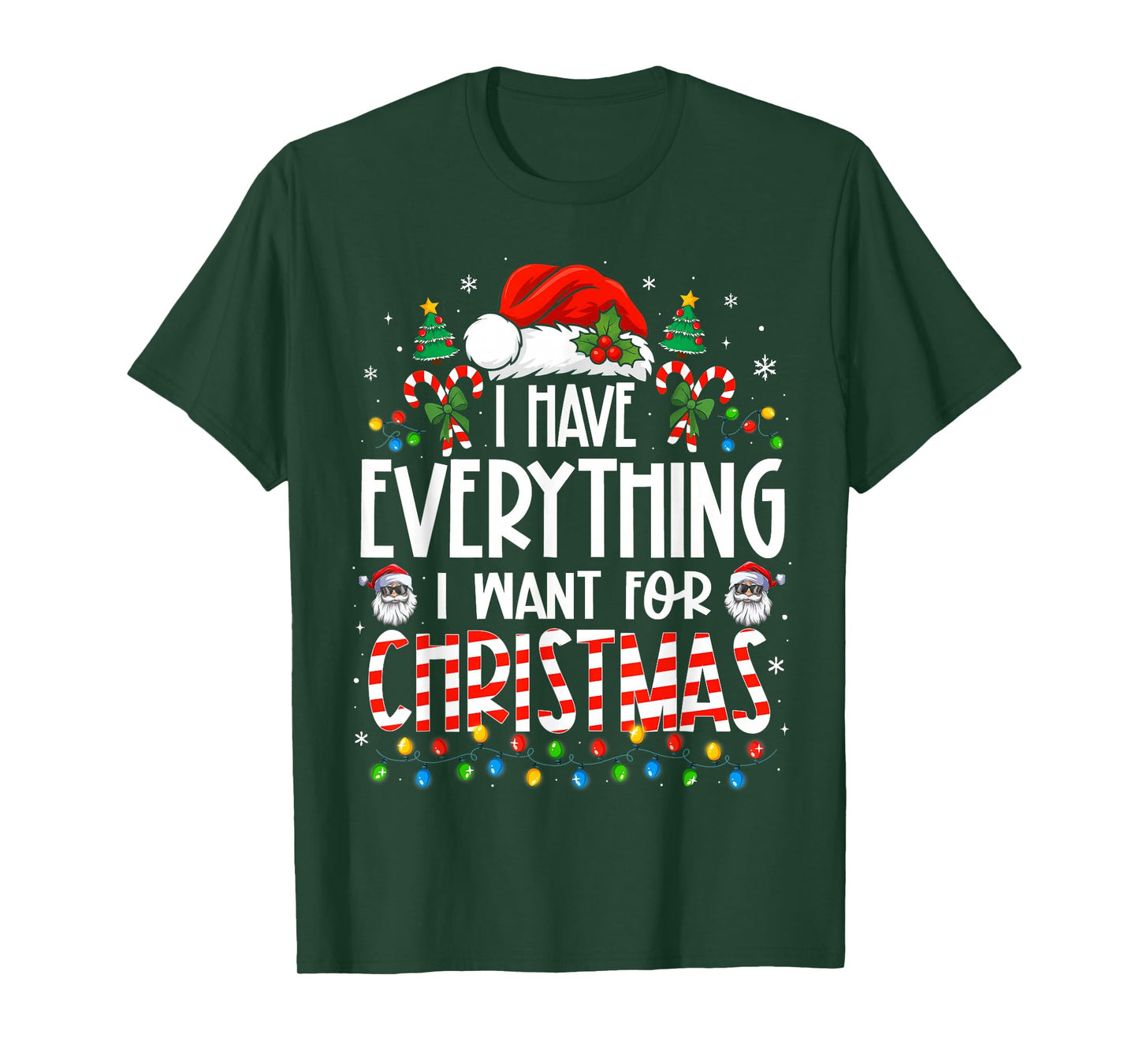 I Have Everything I Want for Christmas Matching Couples Xmas T-Shirt