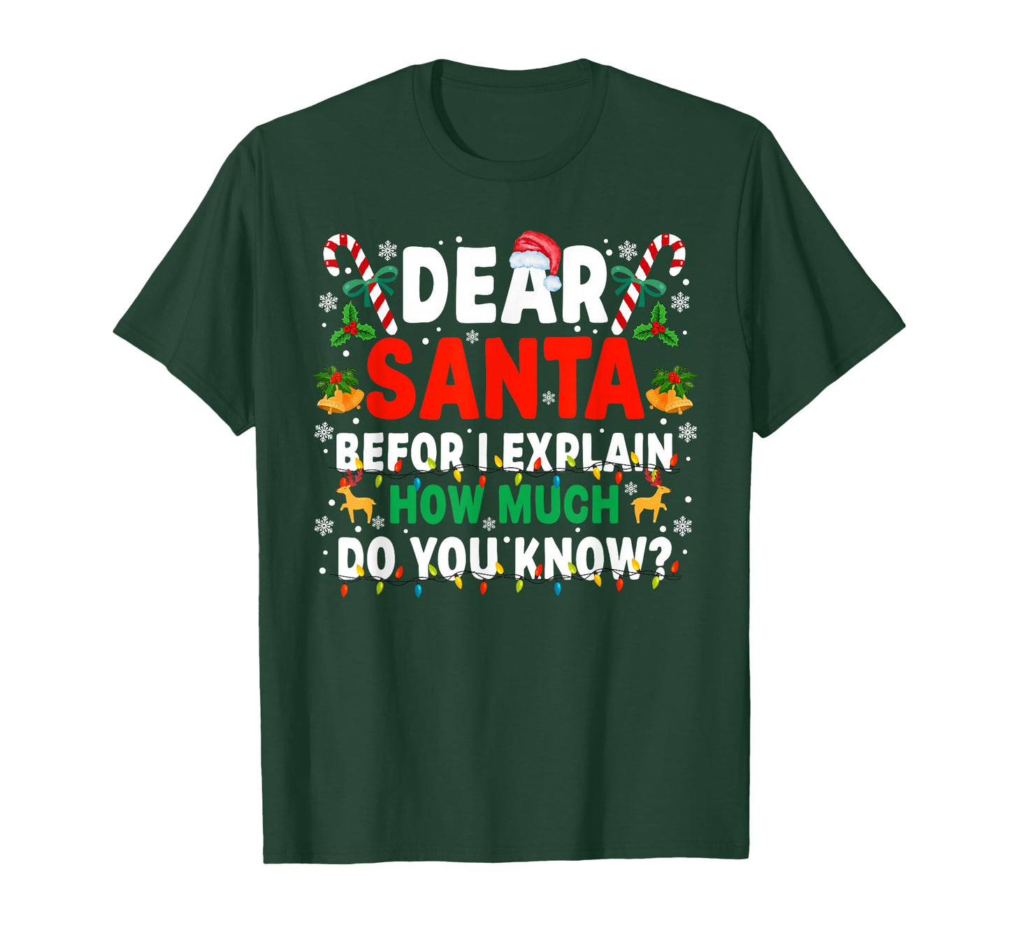 Dear Santa Before I Explain How Much Do You Know Xmas T-Shirt