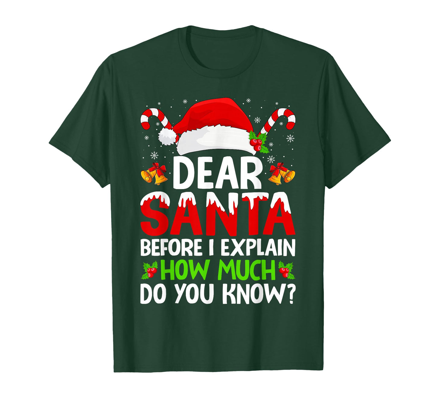 Christmas Dear Santa Before I Explain How Much Do You Know T-Shirt