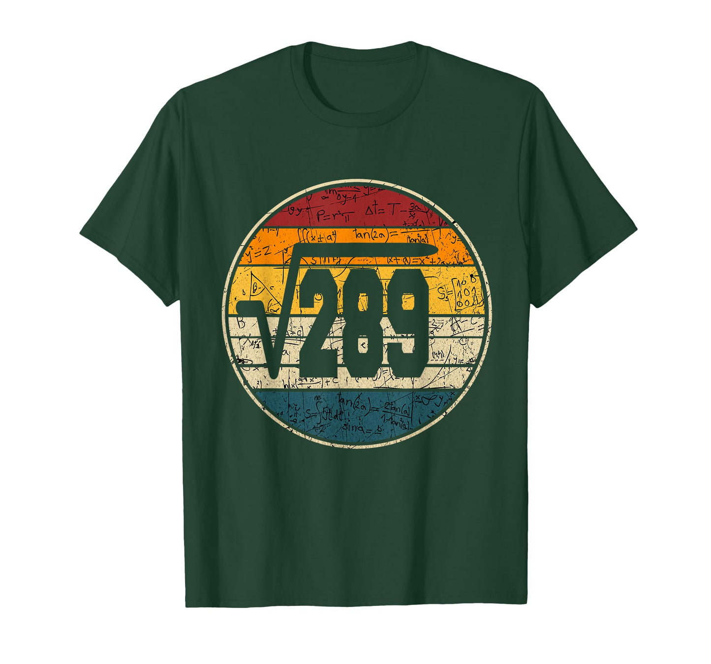 square root of 289 17th years old birthday vintage 17th T-Shirt