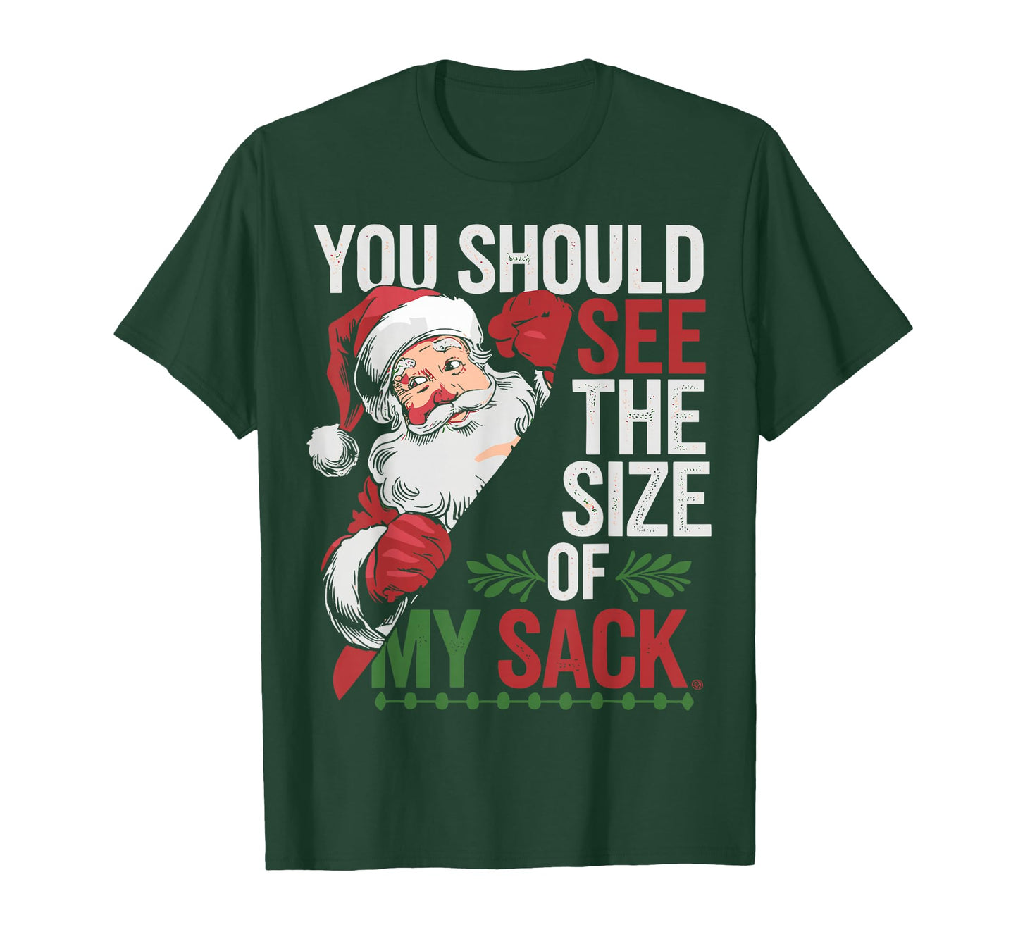 You Should See The Size of My Sack Funny Santa Christmas T-Shirt