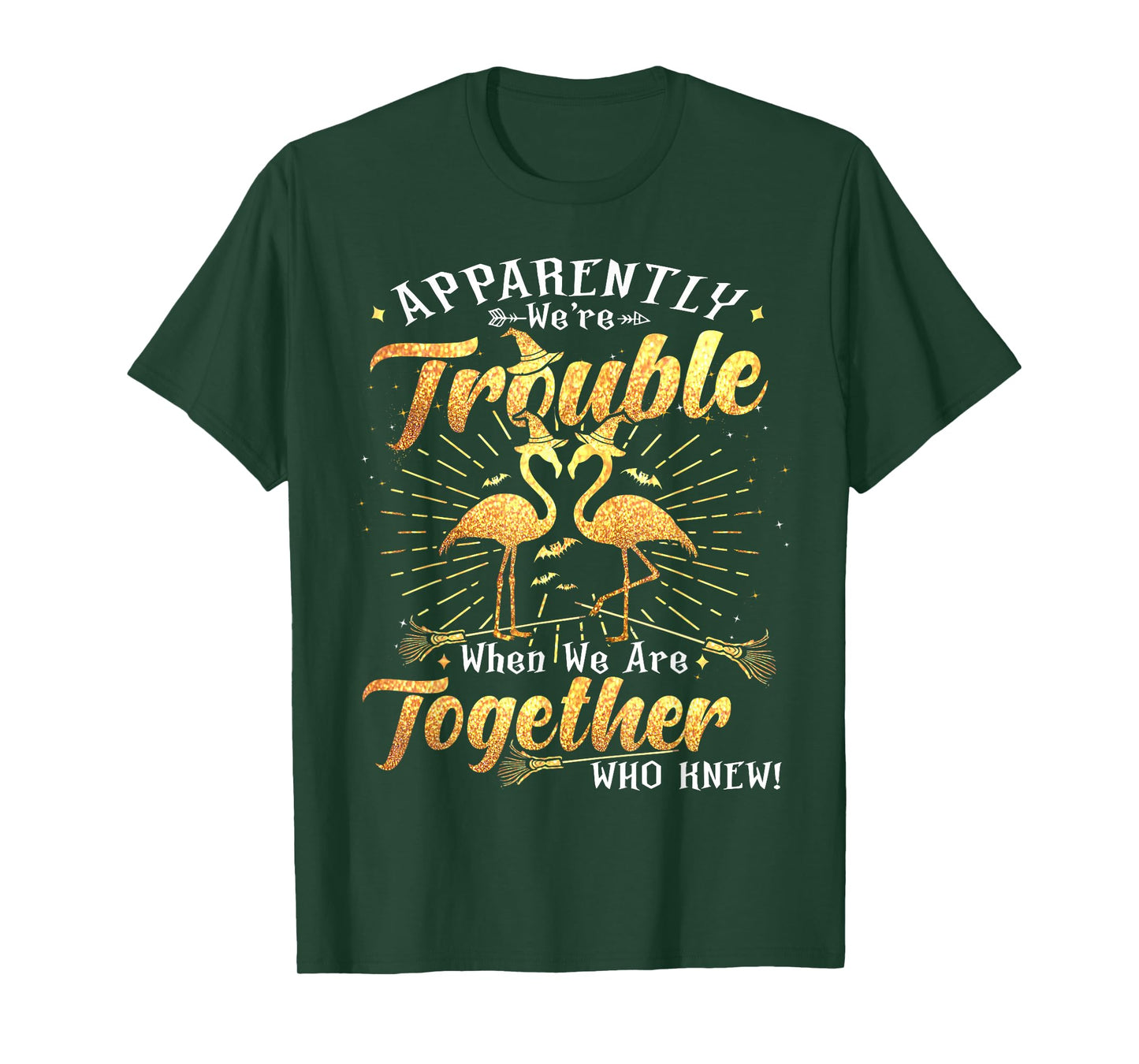 Apparently We're Trouble Flamingo Witches Halloween Witchy T-Shirt