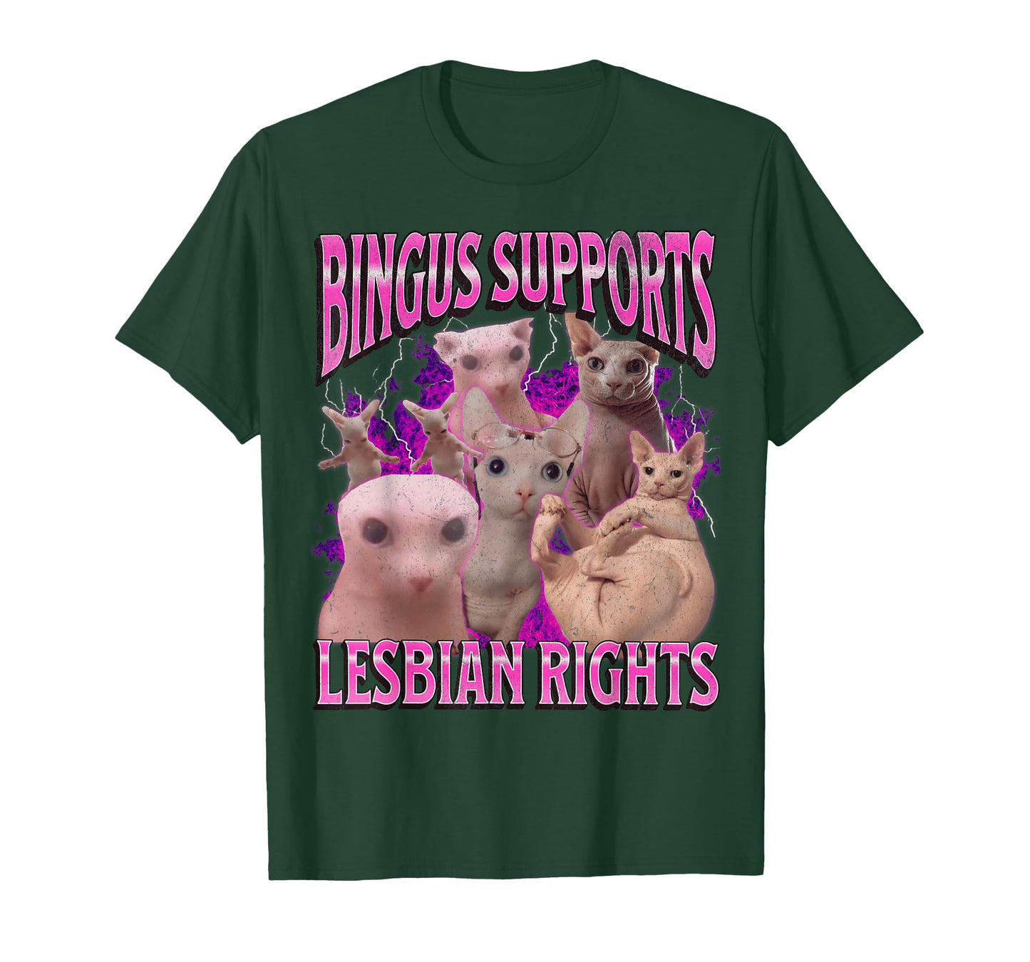Bingus Supports Lesbian Rights Funny Cat Meme Bootleg T-Shirt