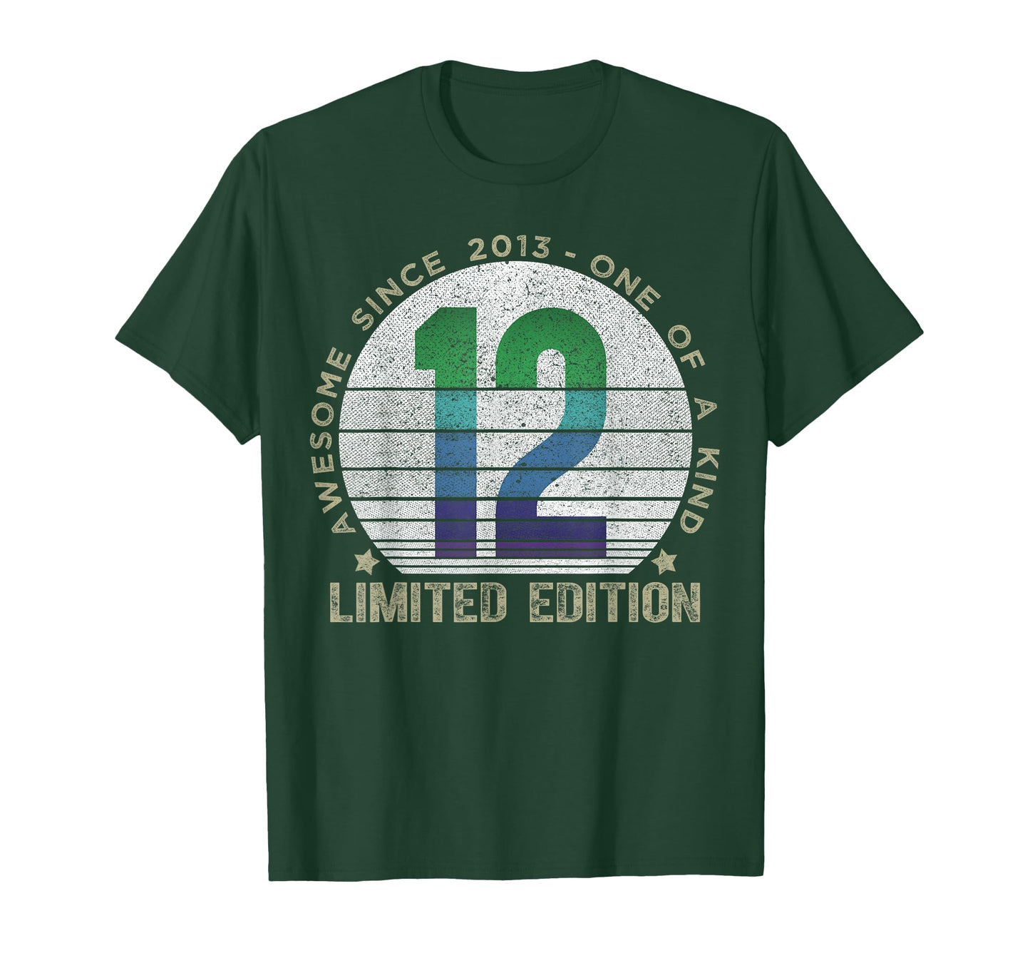 12 Year Old Gifts Vintage 2013 Limited Edition 12th Birthday T-Shirt