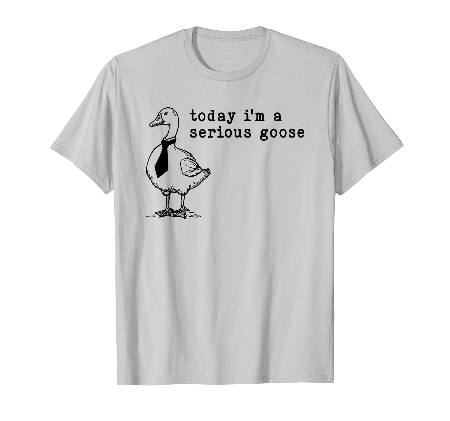 today i'm a serious goose T-Shirt