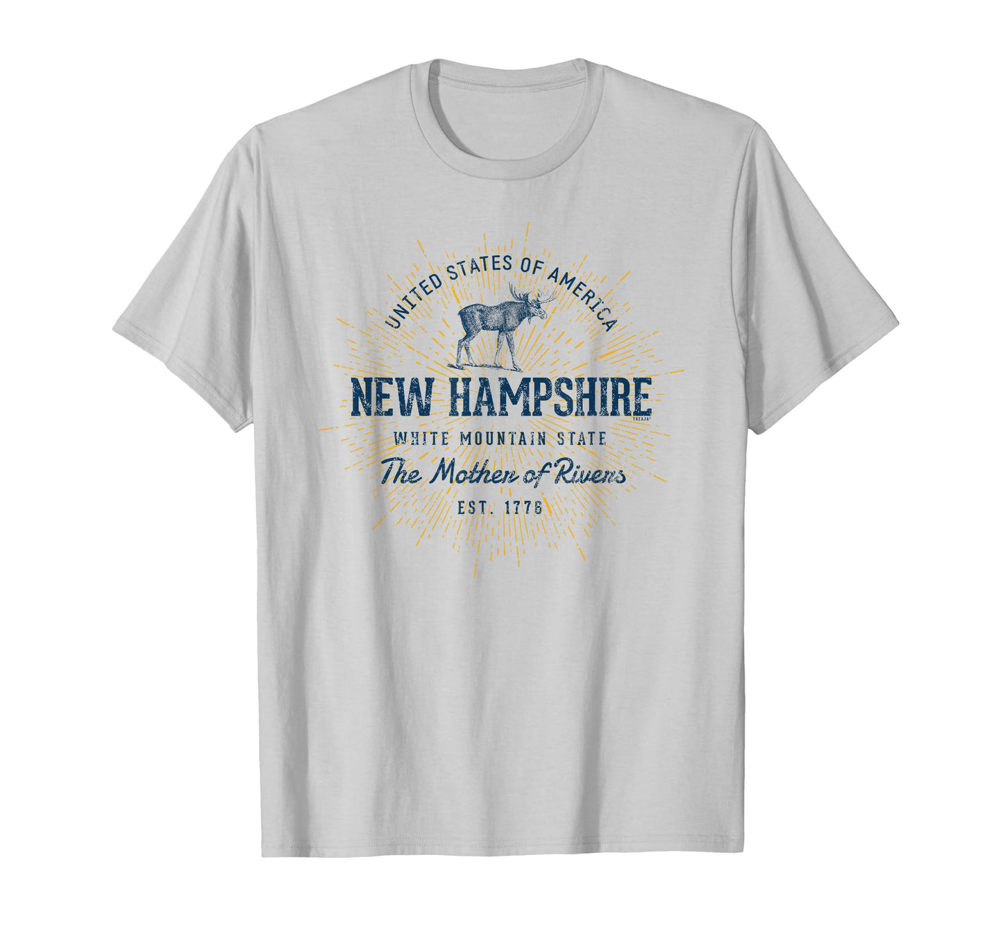 Retro Vintage State of New Hampshire T-Shirt
