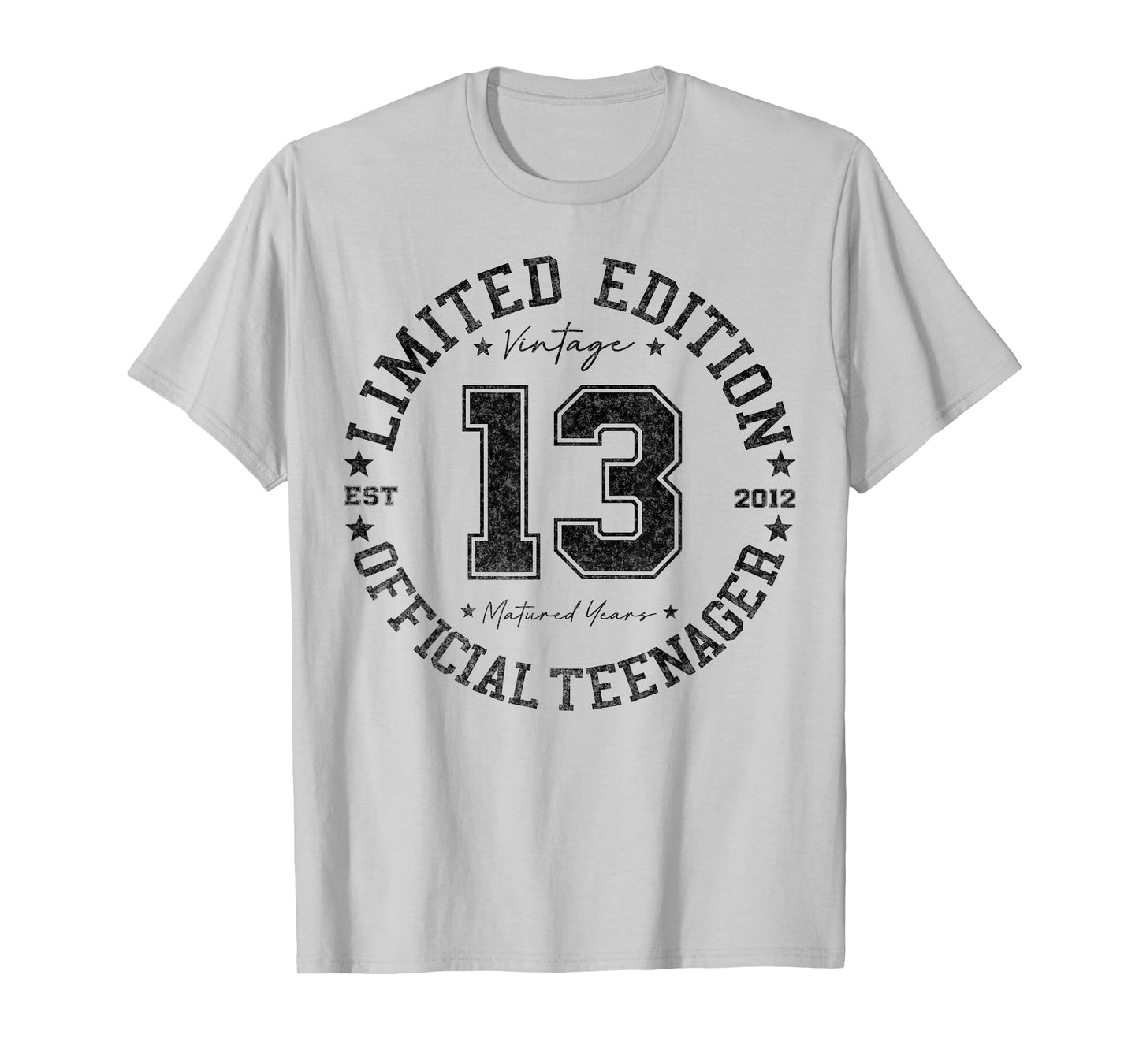 Official Teenager 13 Year Old Gifts Vintage 13th Birthday T-Shirt