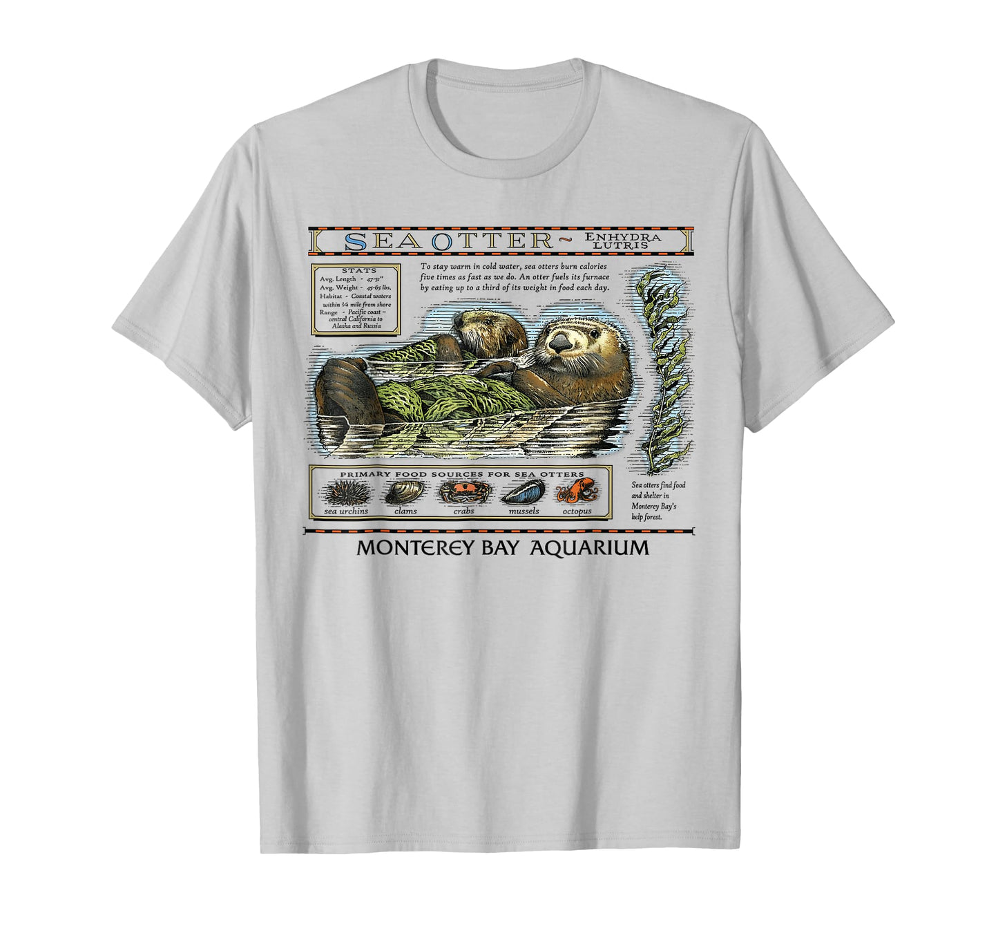 Sea Otter Monterey California 90's Aquarium Lover T-Shirt