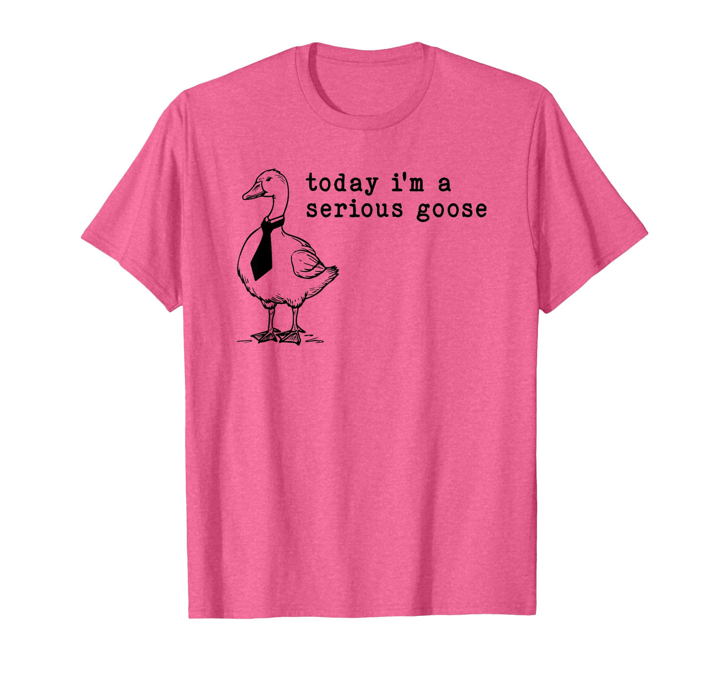 today i'm a serious goose T-Shirt