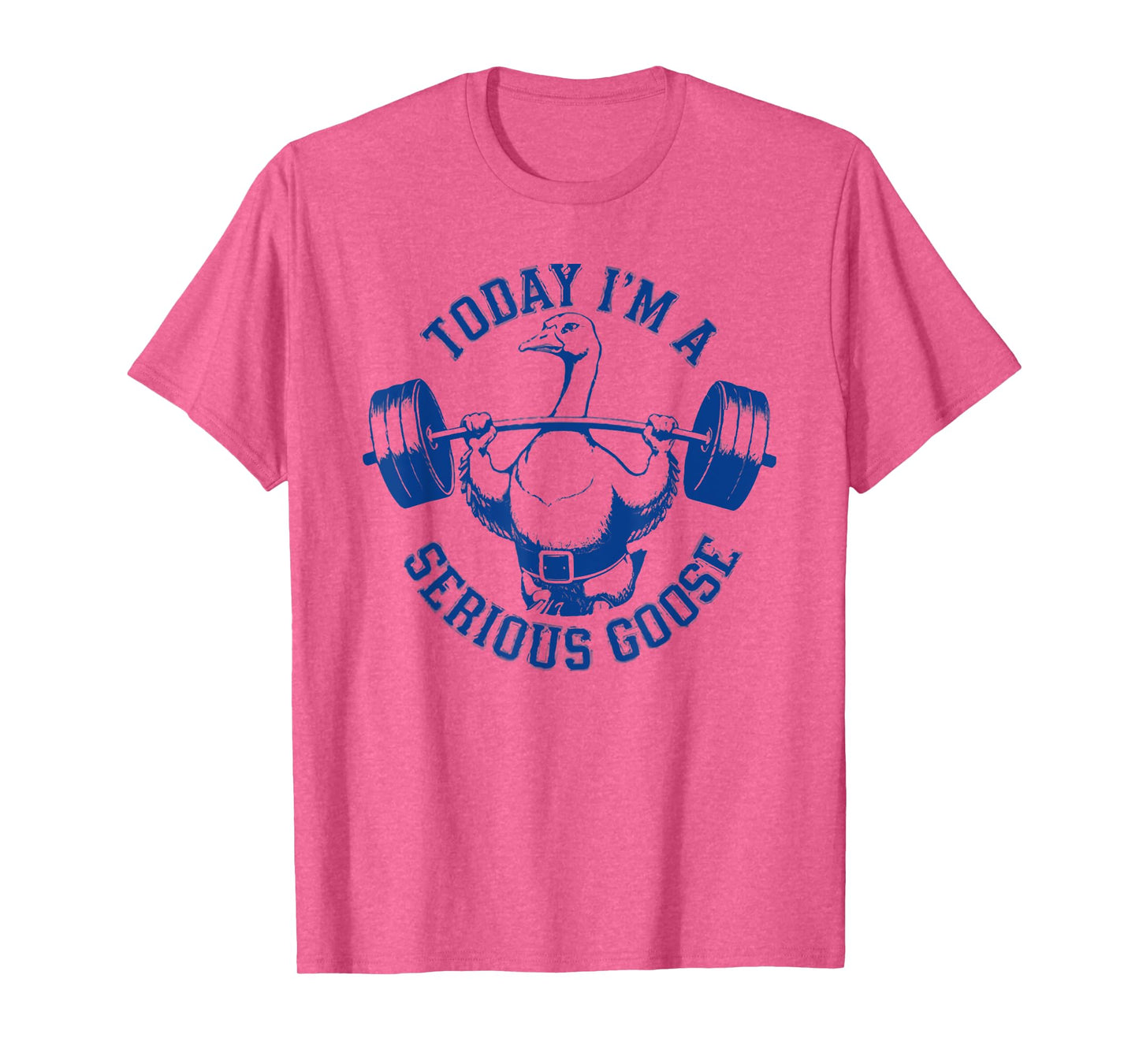 today i'm a serious goose T-Shirt