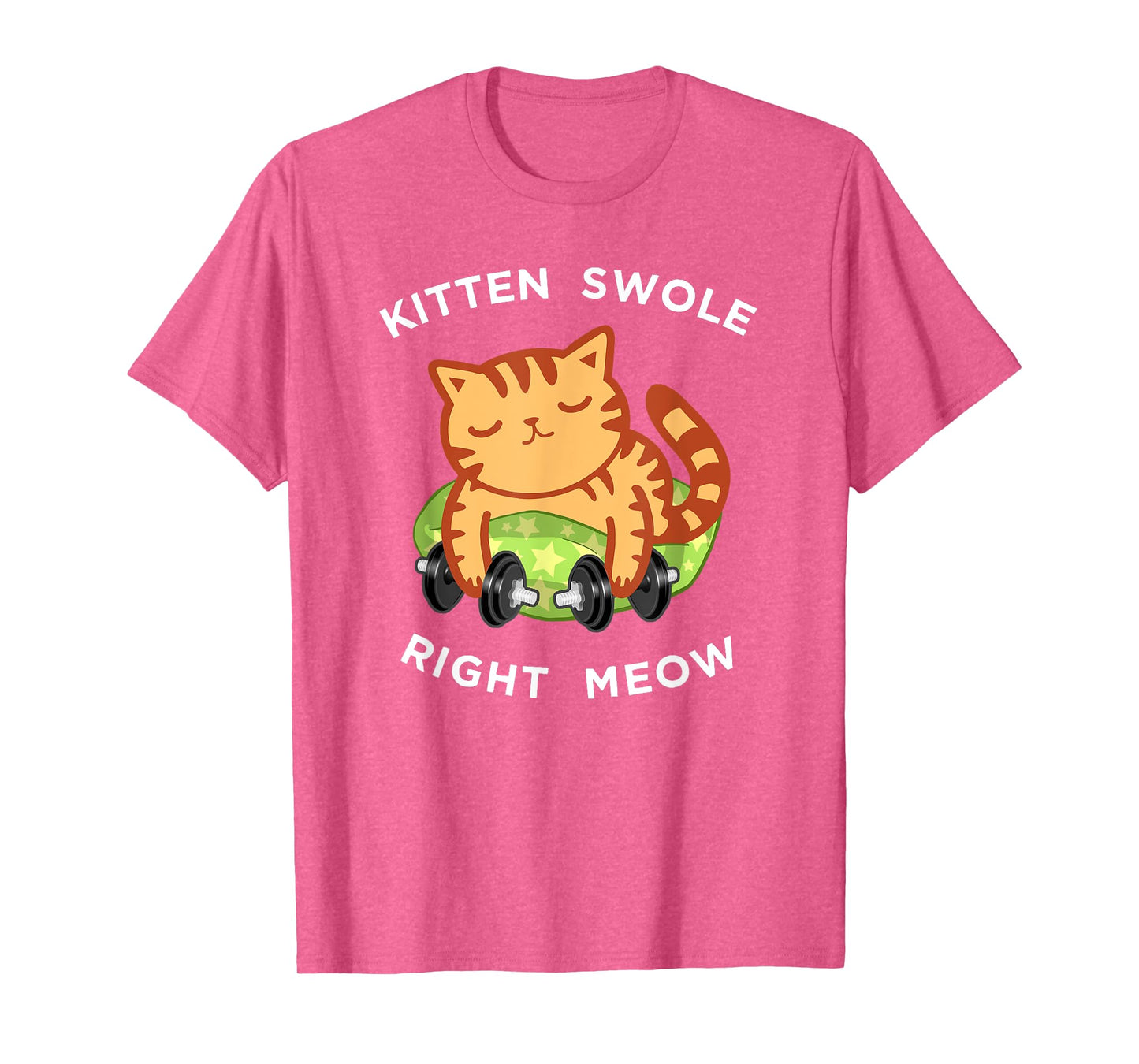 Funny Lifting Right Meow Cat Shirt, Workout Gym Kitty Tee T-Shirt