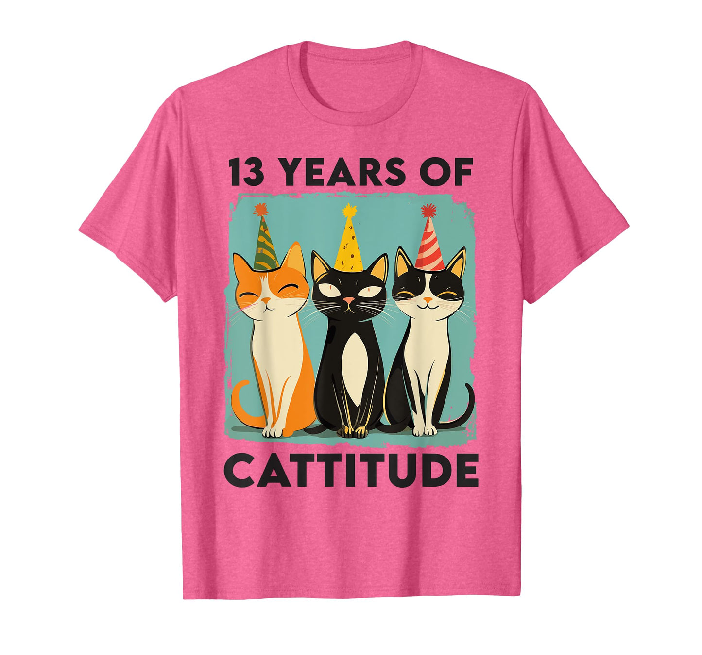 13 Years Of Cattitude 13th Birthday Cat Lover 13 Years Old T-Shirt for Men Women Kids