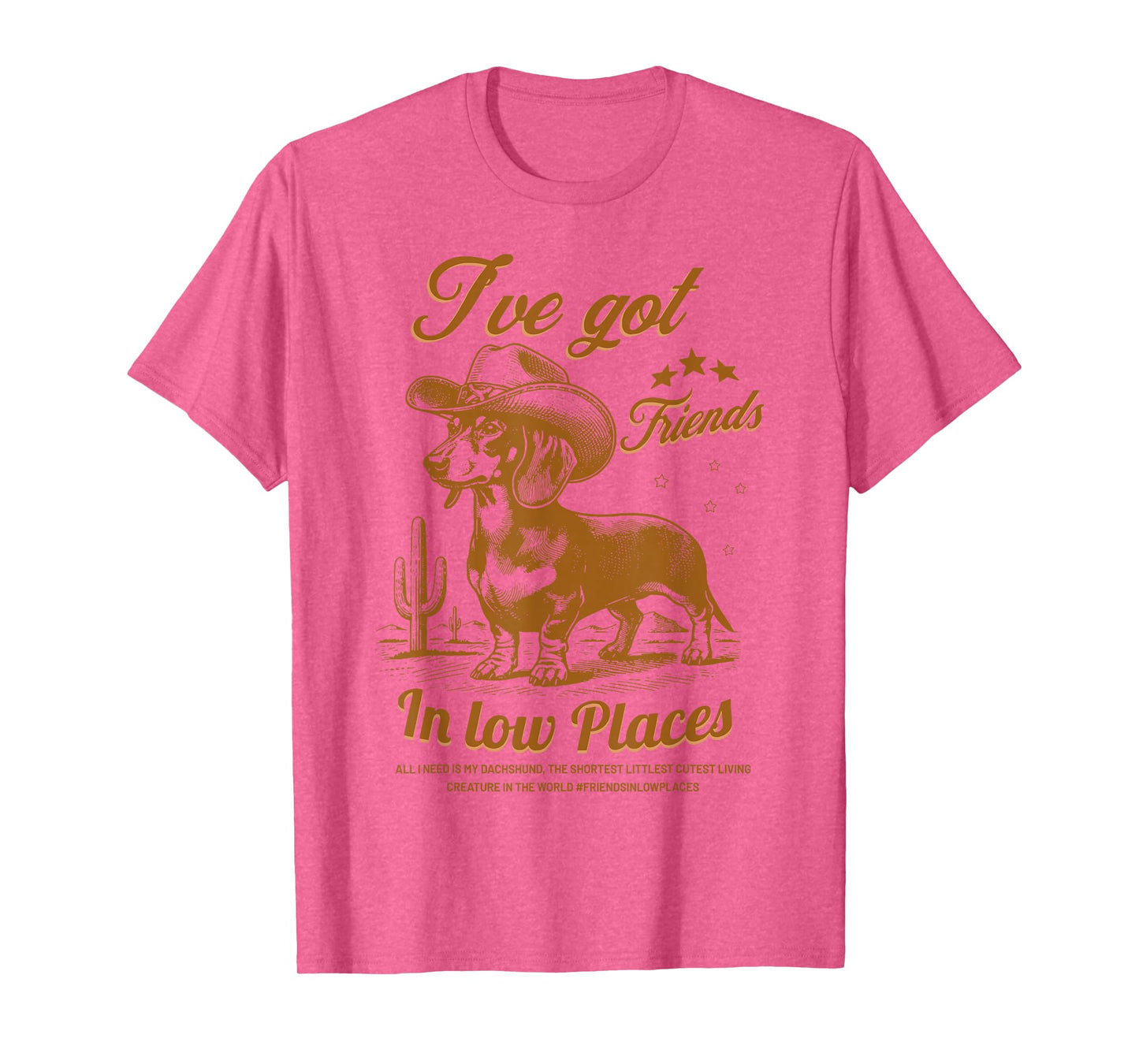 I've Got Friends In Low Places Funny Dachshund Cowboy Doxie T-Shirt