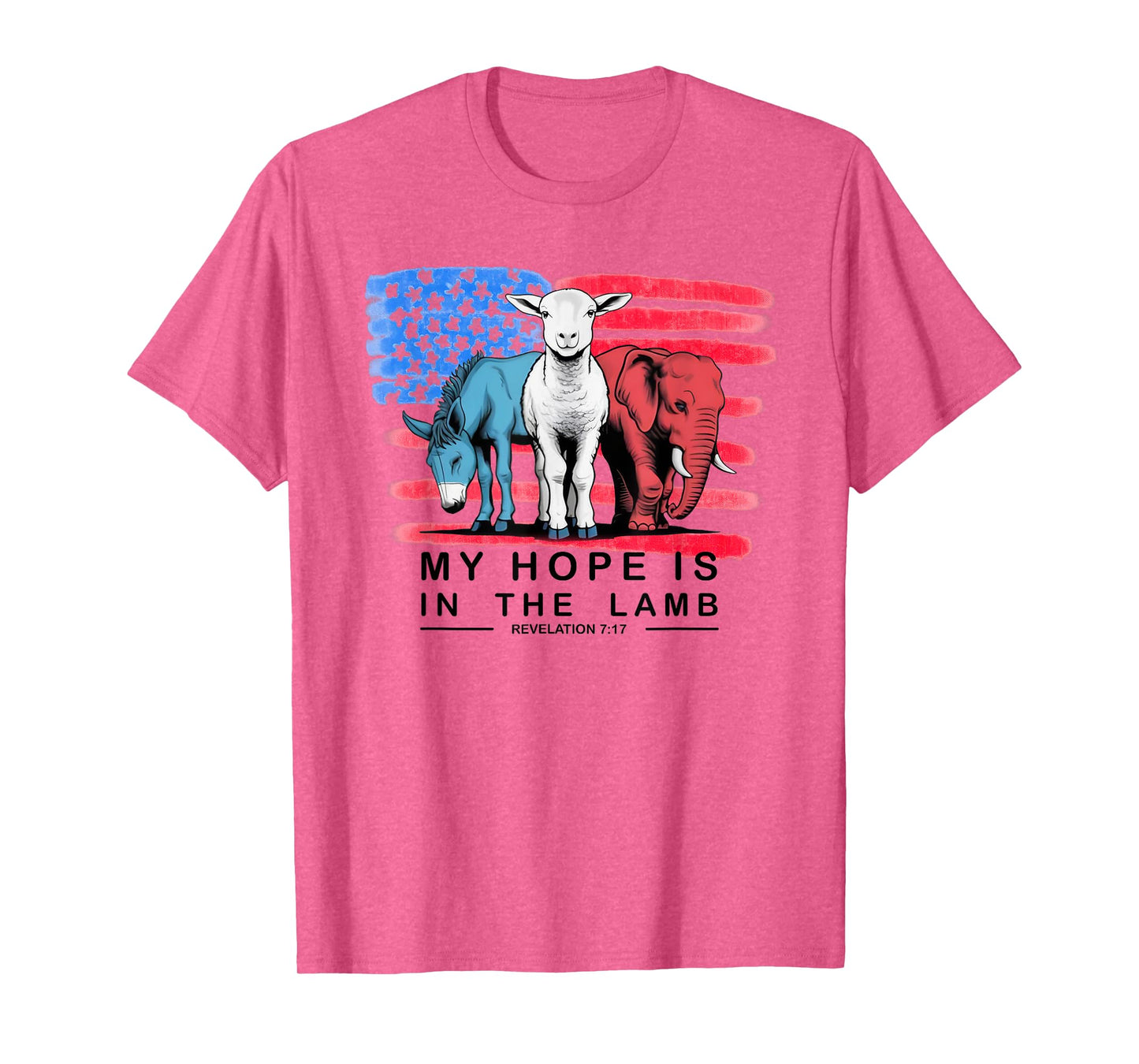 Vintage My Hope Is In The Lamb Christian God Jesus USA Flag T-Shirt