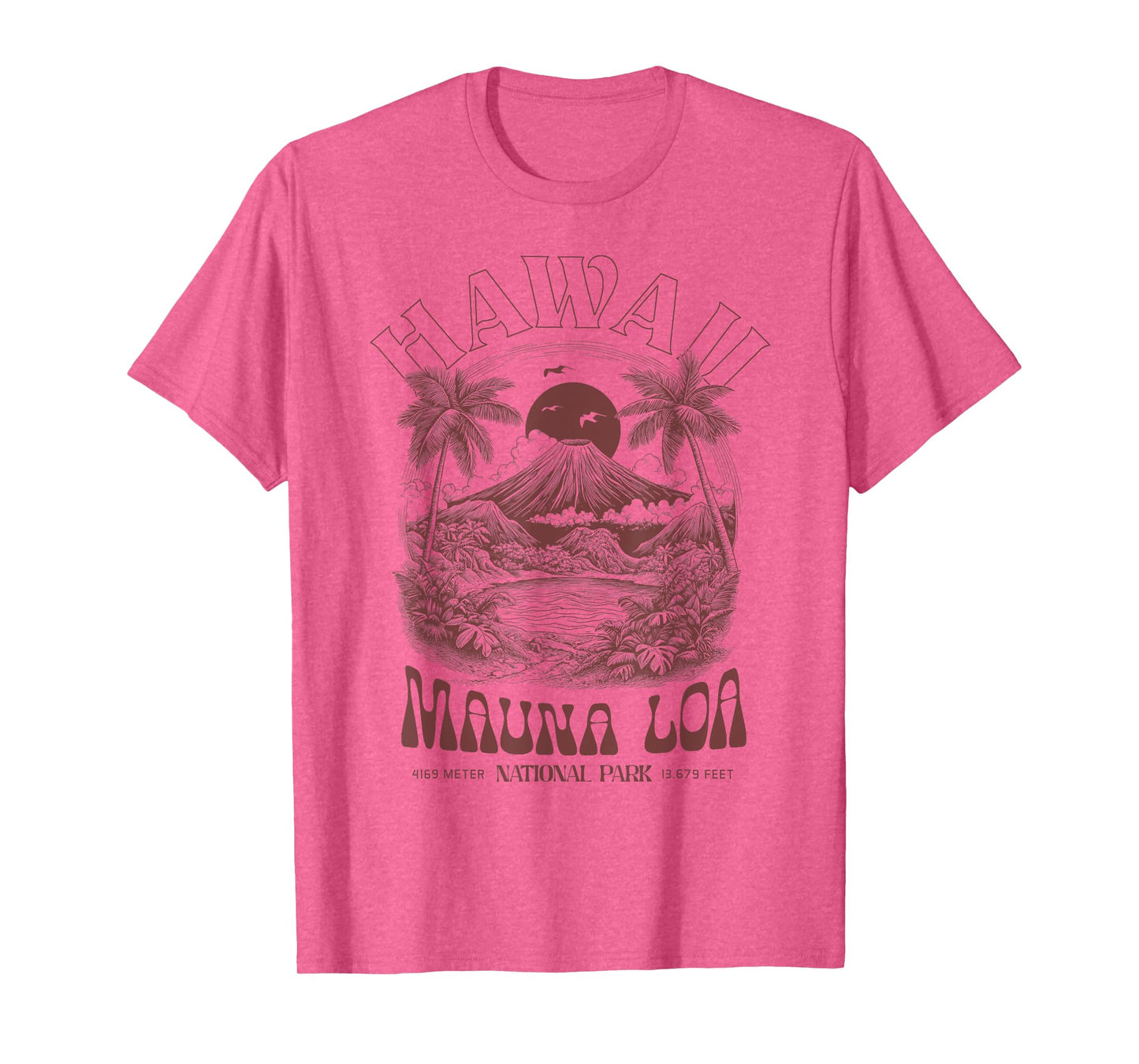 Hawaii Volcano Vintage Outdoor Mountain Hiking T-Shirt