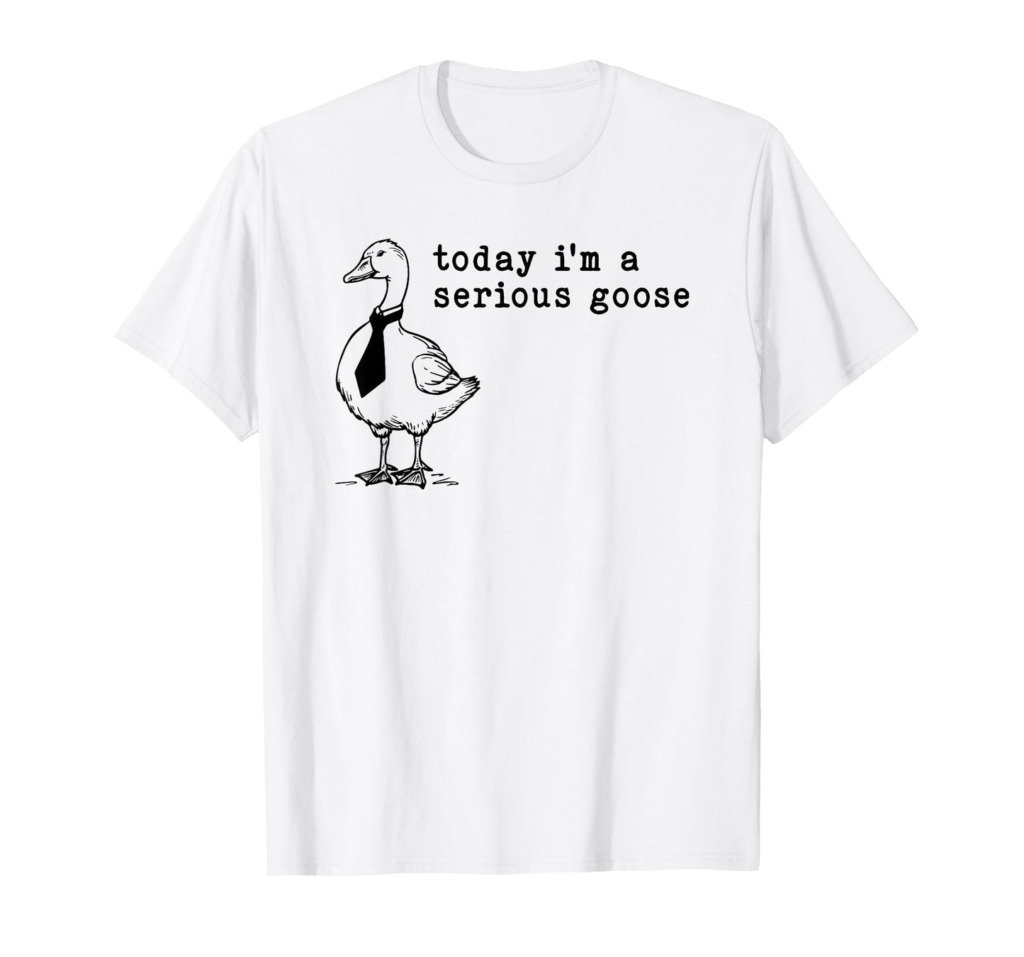 today i'm a serious goose T-Shirt