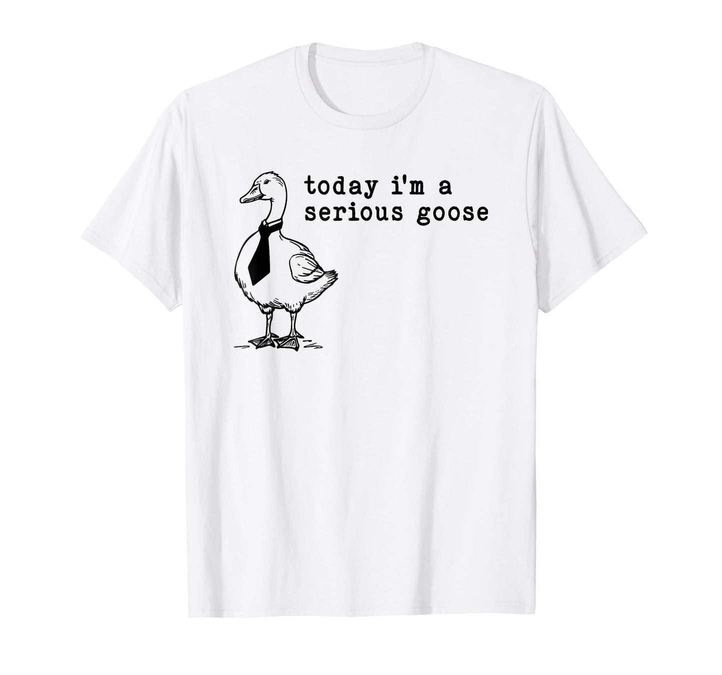 today i'm a serious goose T-Shirt