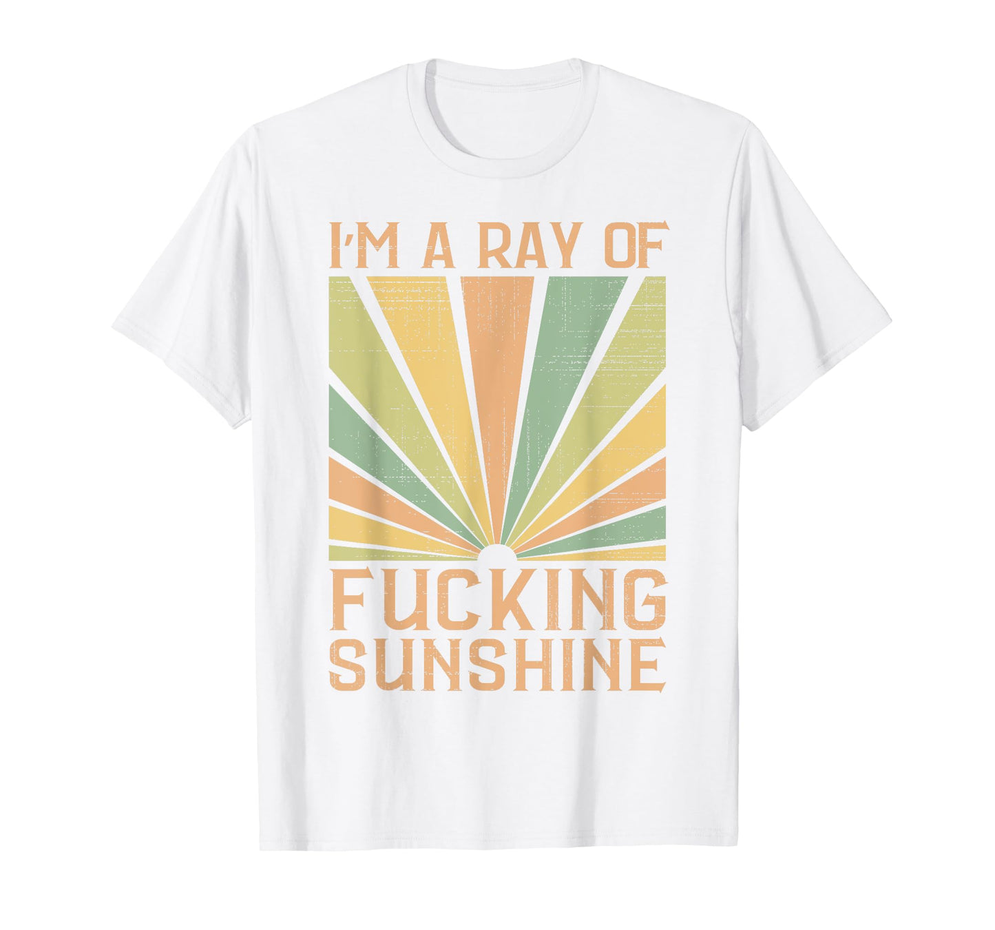 I’m A Ray of F-ing Sunshine Sarcastic Humor Summer Vacation T-Shirt