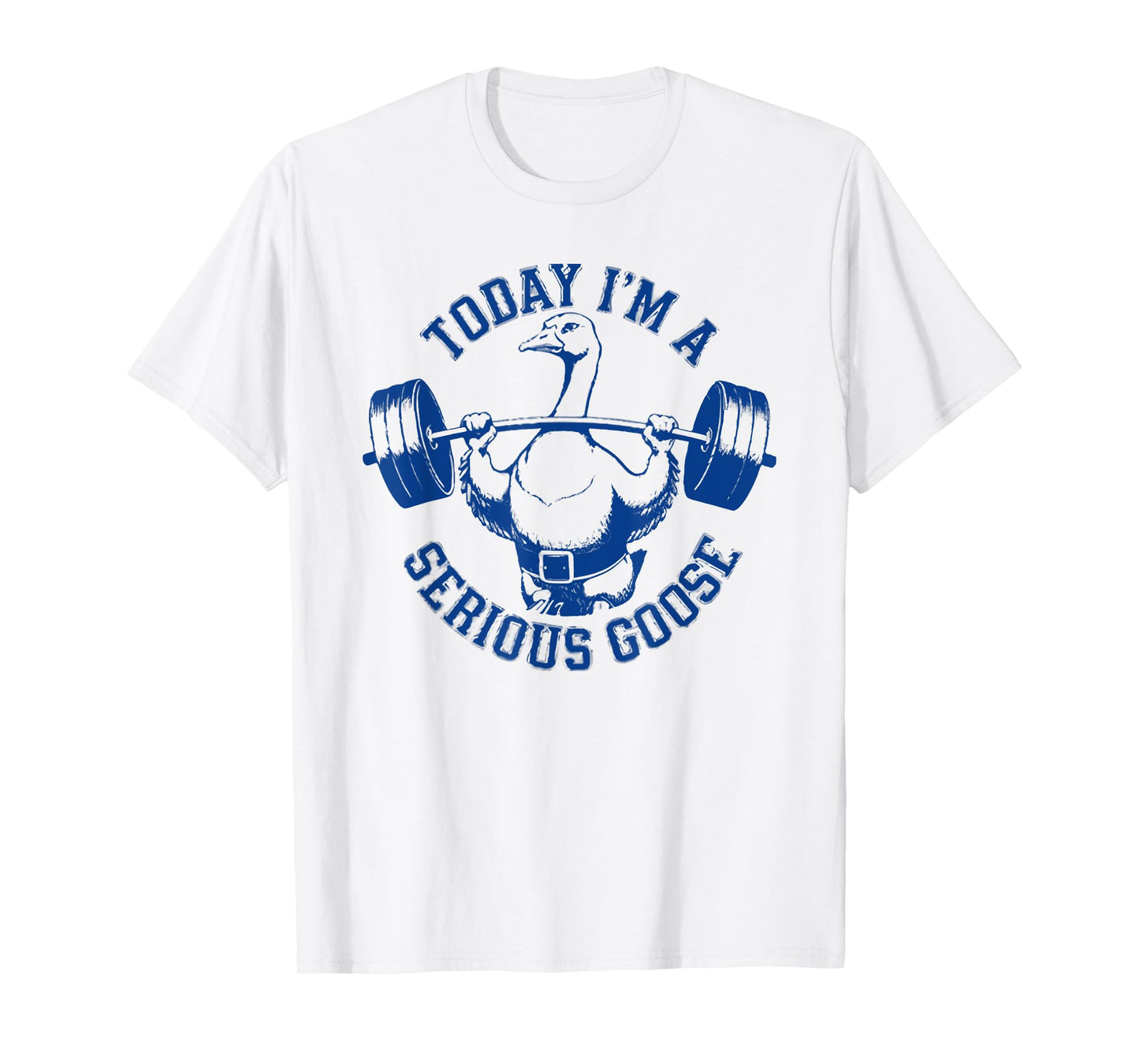 today i'm a serious goose T-Shirt