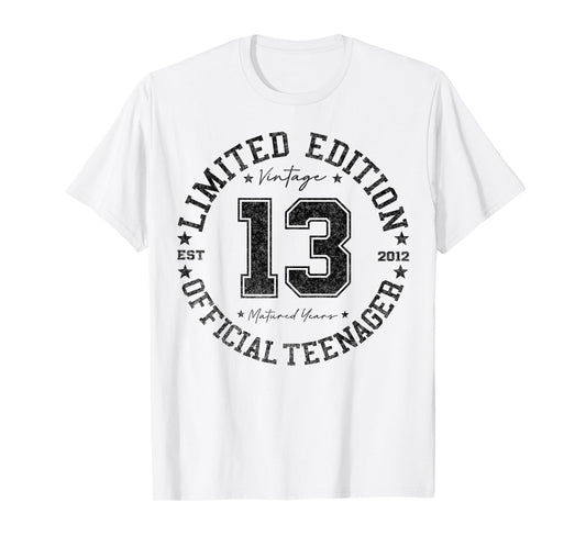 Official Teenager 13 Year Old Gifts Vintage 13th Birthday T-Shirt