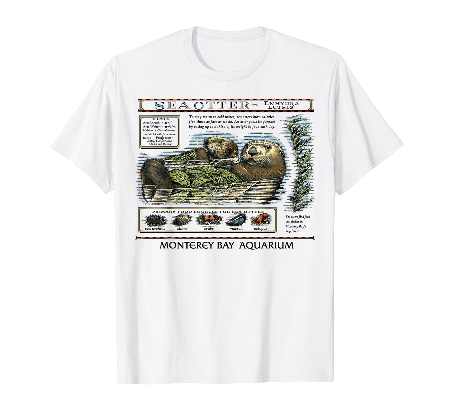 Vintage Sea Otters T-Shirt