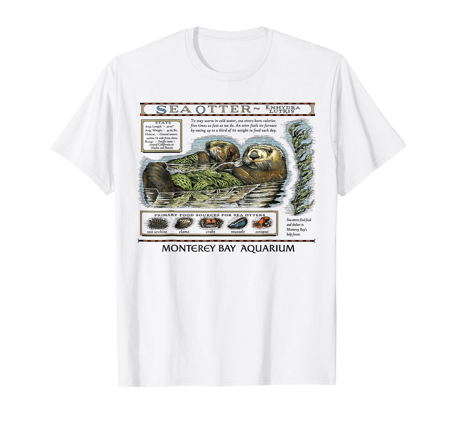 Sea Otter Monterey California 90's Aquarium Lover T-Shirt