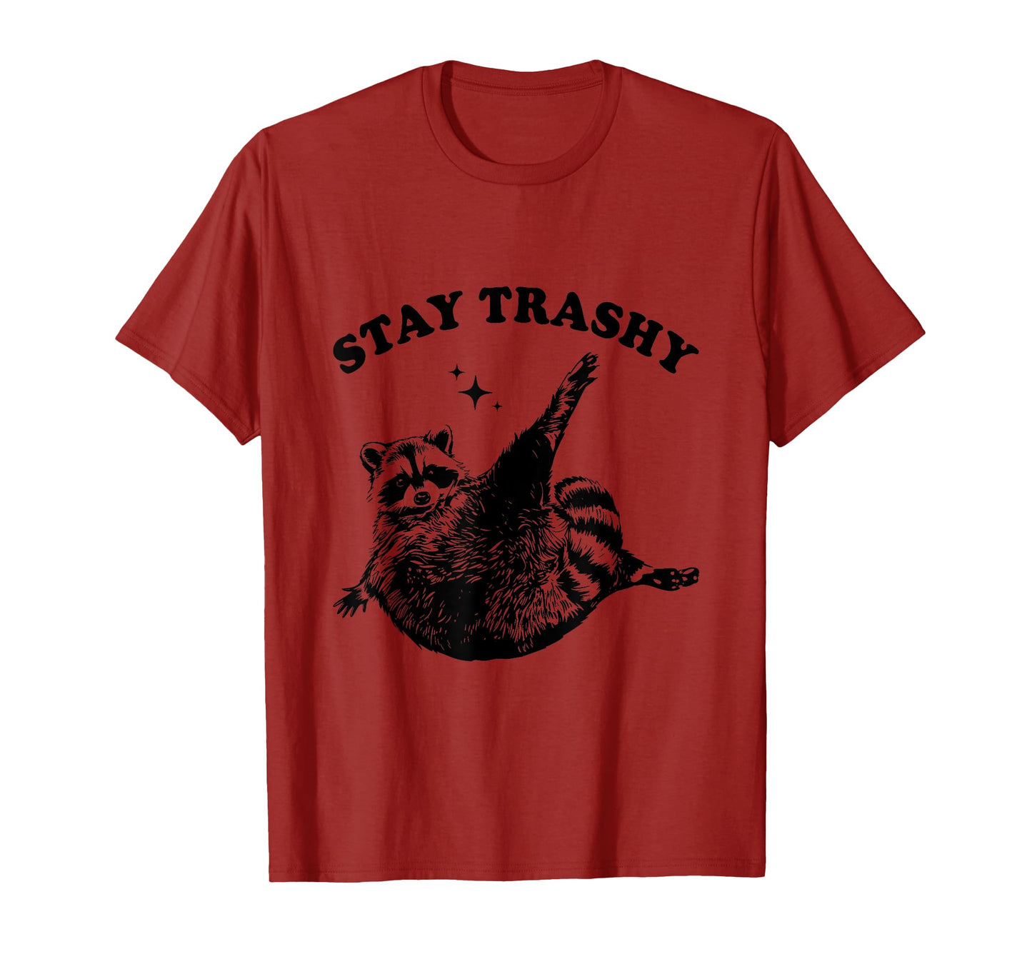 Stay Trashy Raccoon Lover Humor Vintage Funny Racoon T-Shirt