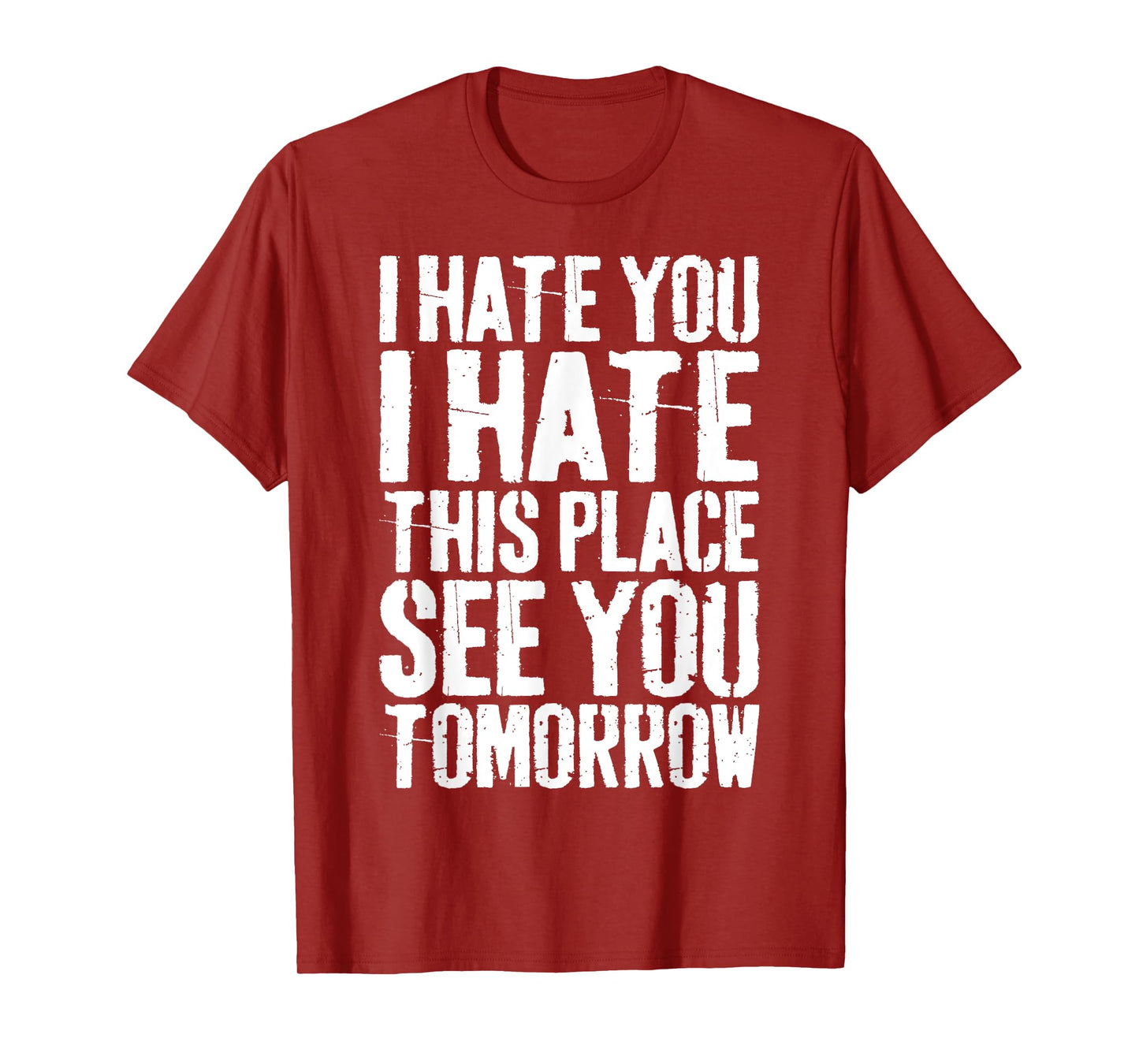 I Hate You I Hate This Place See You Tomorrow T-Shirt T-Shirt