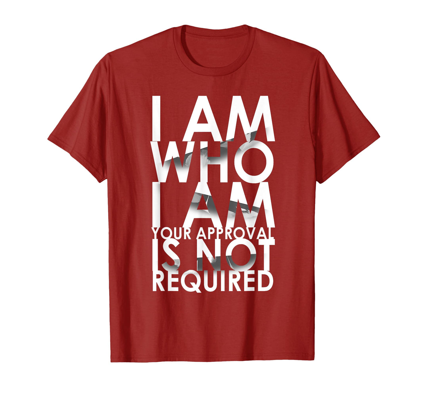 I Am Who I Am Your Approval Is Not Required Needed T-Shirt T-Shirt