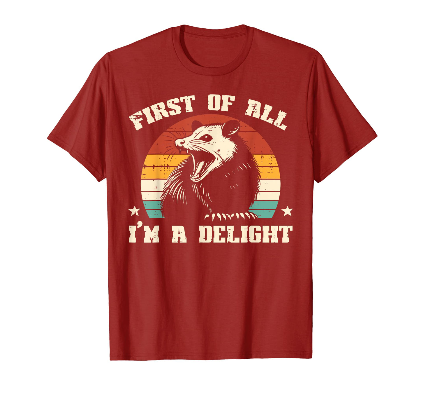 Possum First Im Delight Vintage Opossum Humor Men Women Kids T-Shirt