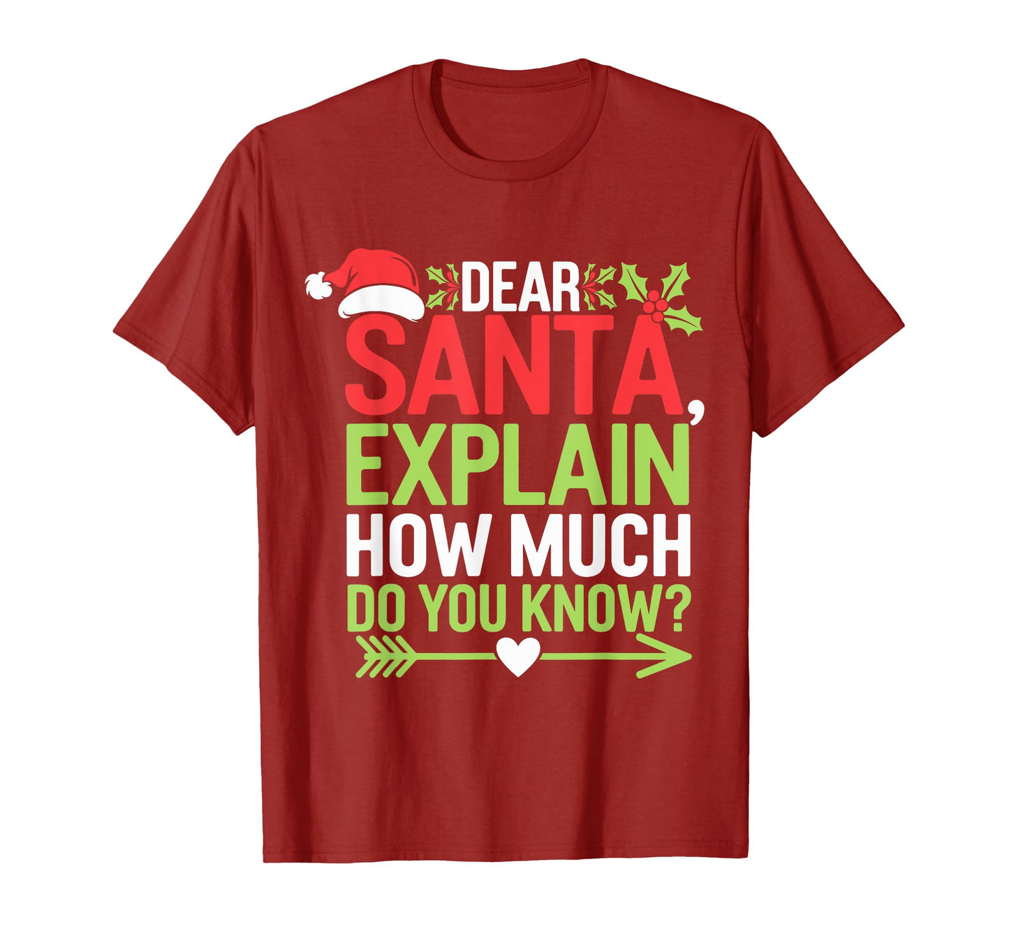 Funny Christmas Funny Boys Girls Dear Santa I Can Explain T-Shirt
