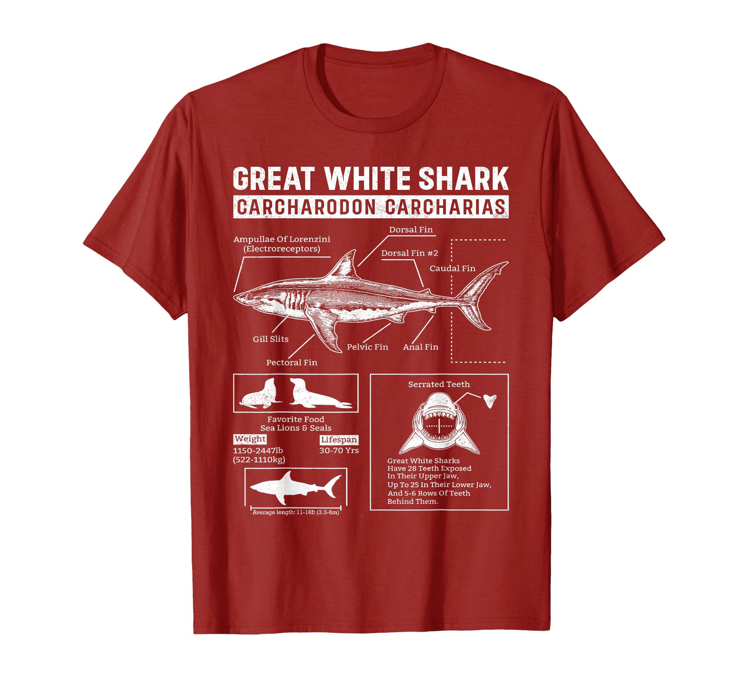 Vintage Great White Shark Anatomy Lover Marine Biologist T-Shirt