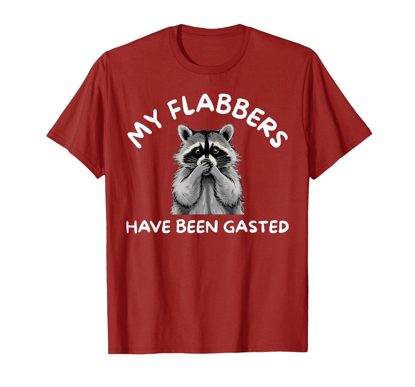 Raccoon My Flabbers Have Been Gasted T-Shirt