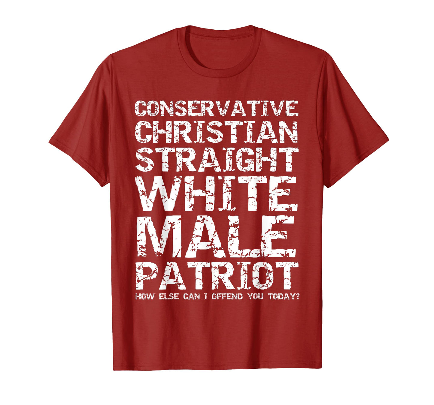 Offended? Conservative Christian Straight White Male Patriot T-Shirt