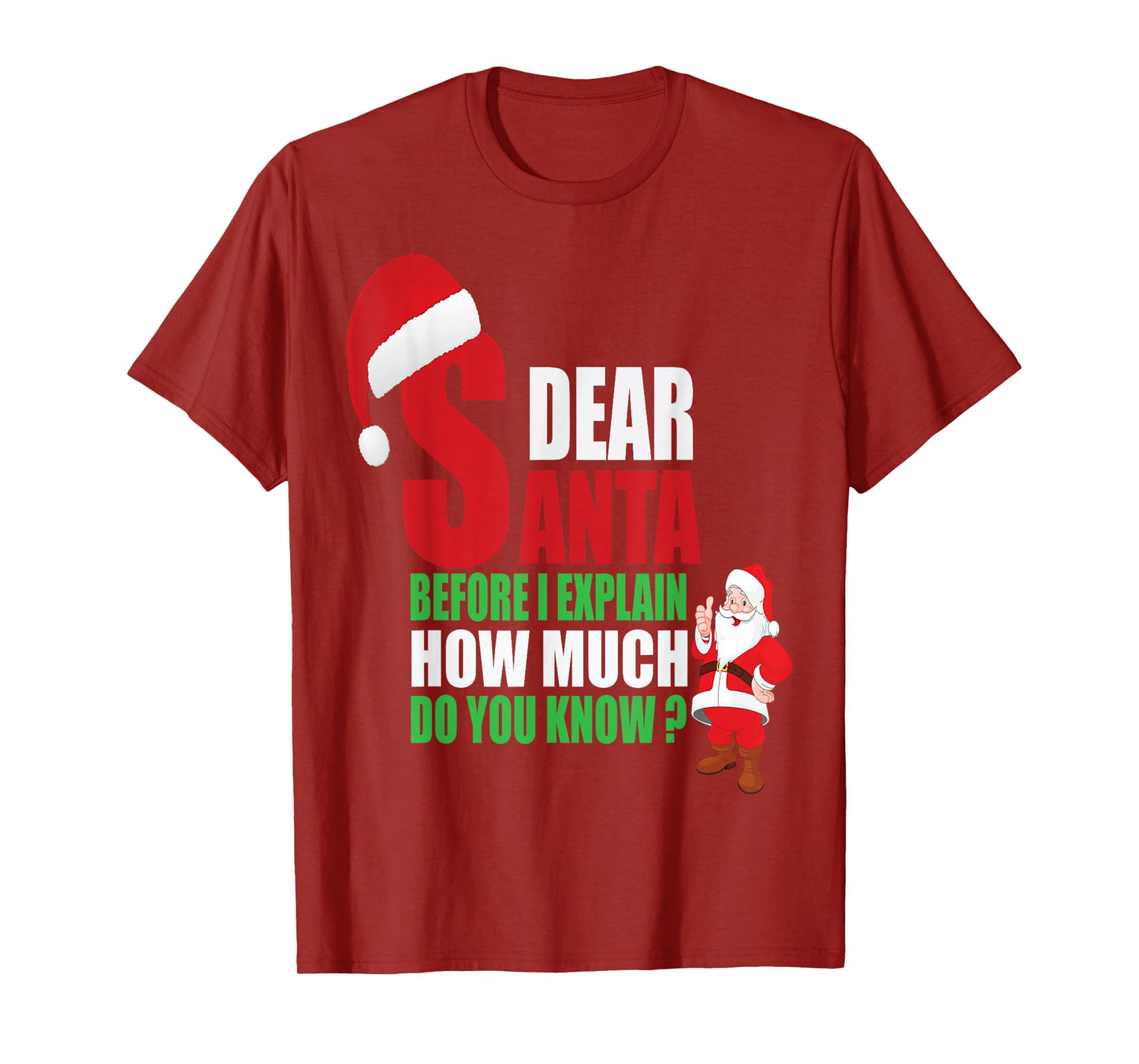 Dear Santa Before I Explain How Much Do You Know? Funny Tee T-Shirt
