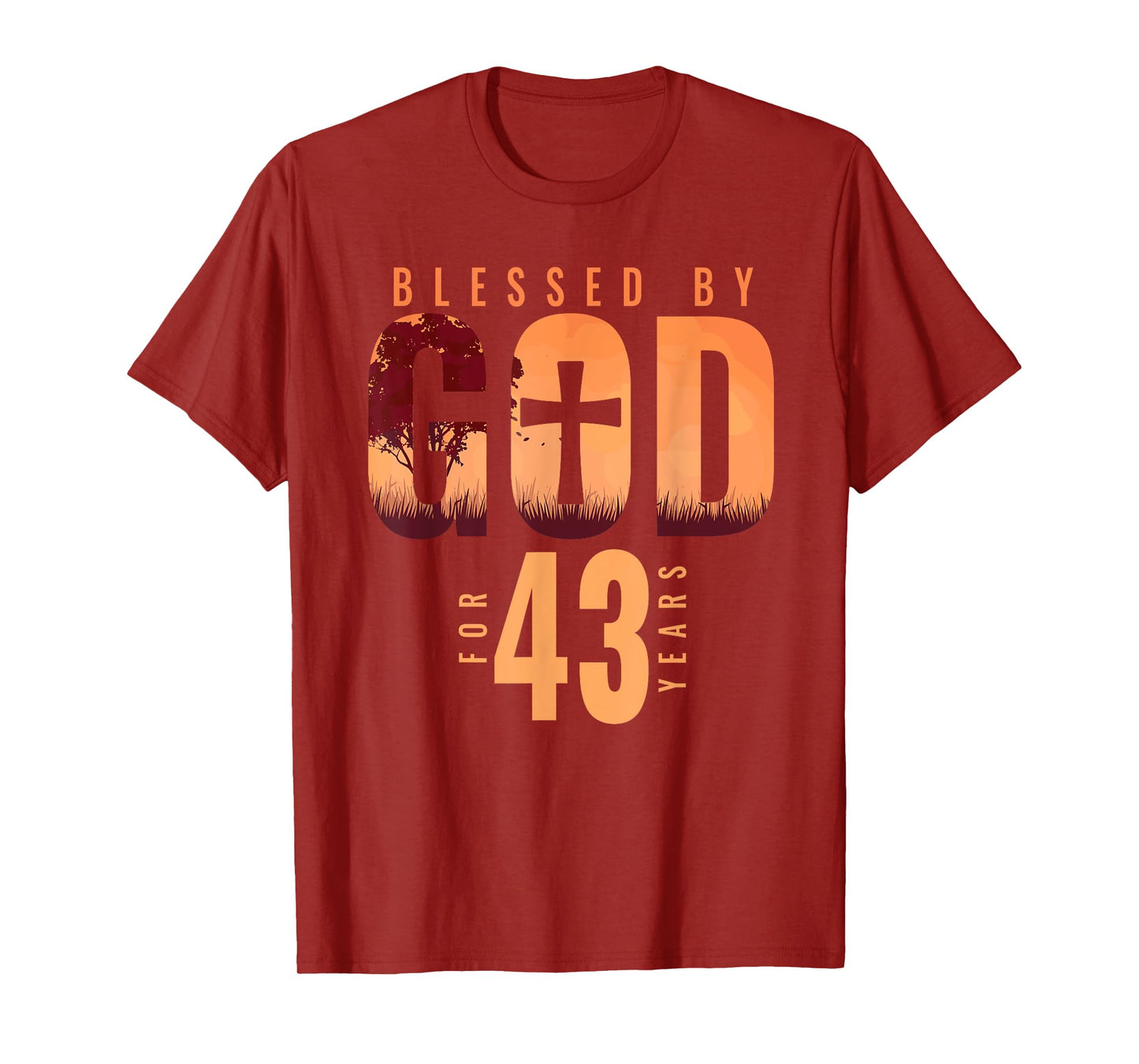 Blessed By God For 43 Years 43rd Birthday Religious Theme T-Shirt