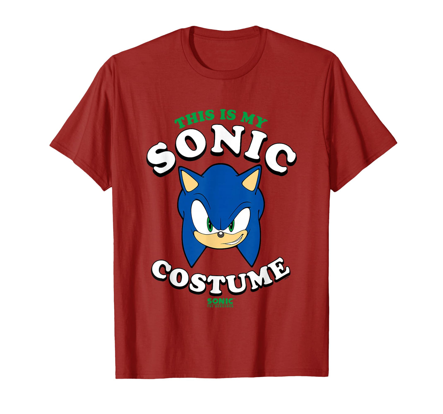 Sonic The Hedgehog Halloween This Is My Sonic Costume T-Shirt