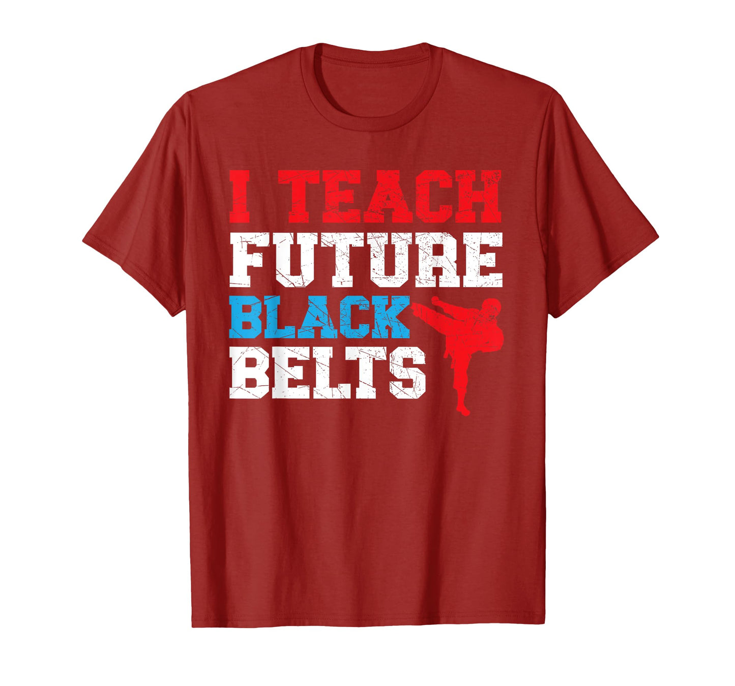 I Teach Future Black Belts Martial Arts Taekwondo T-Shirt